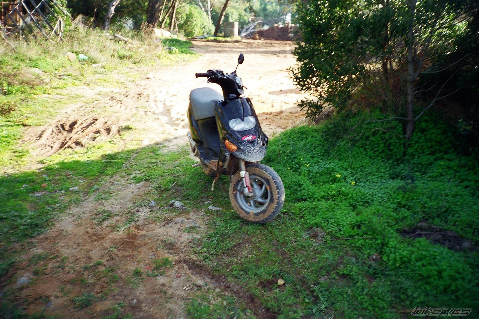 1999 GILERA STALKER 50 | Picture 138974 motorcycle photo