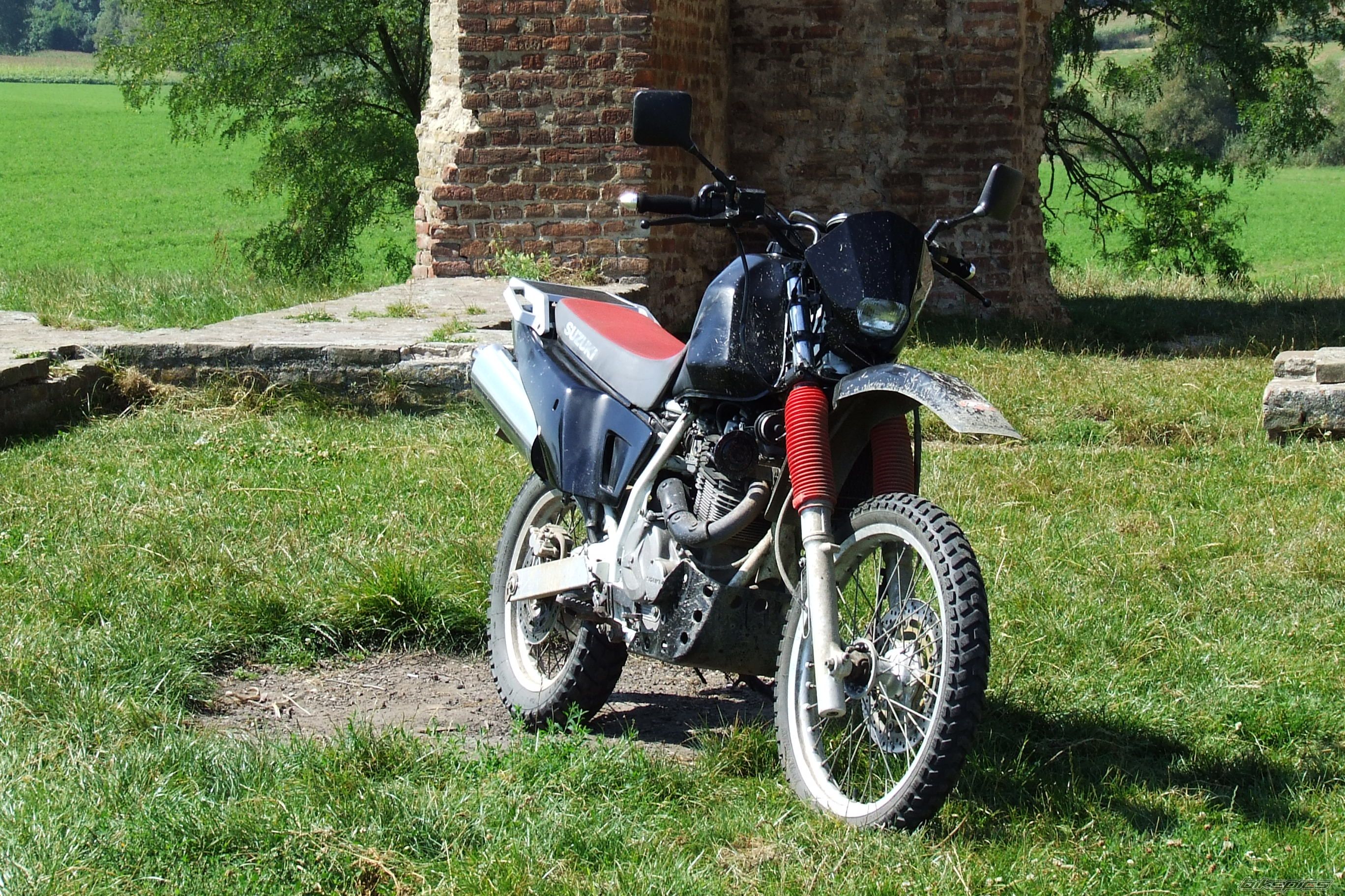 1991 SUZUKI DR 800 | Picture 1390660 motorcycle photo