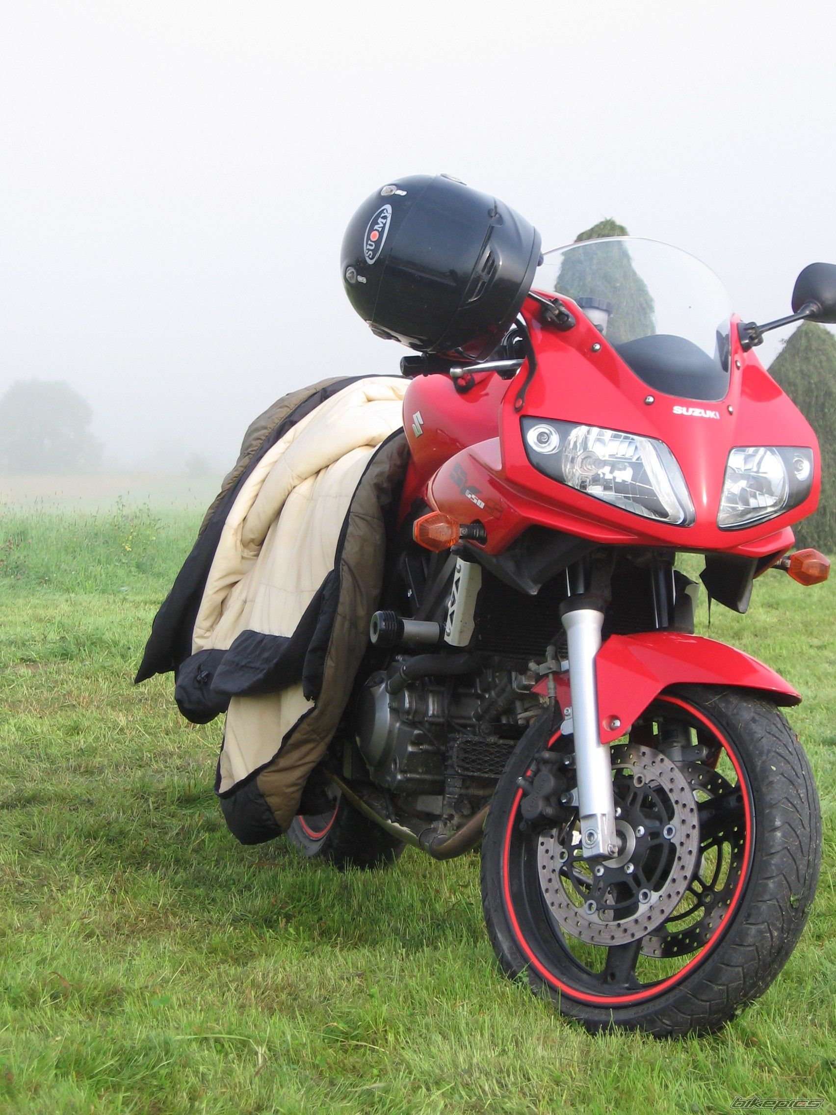 2006 SUZUKI SV 650S | Picture 1390693 motorcycle photo