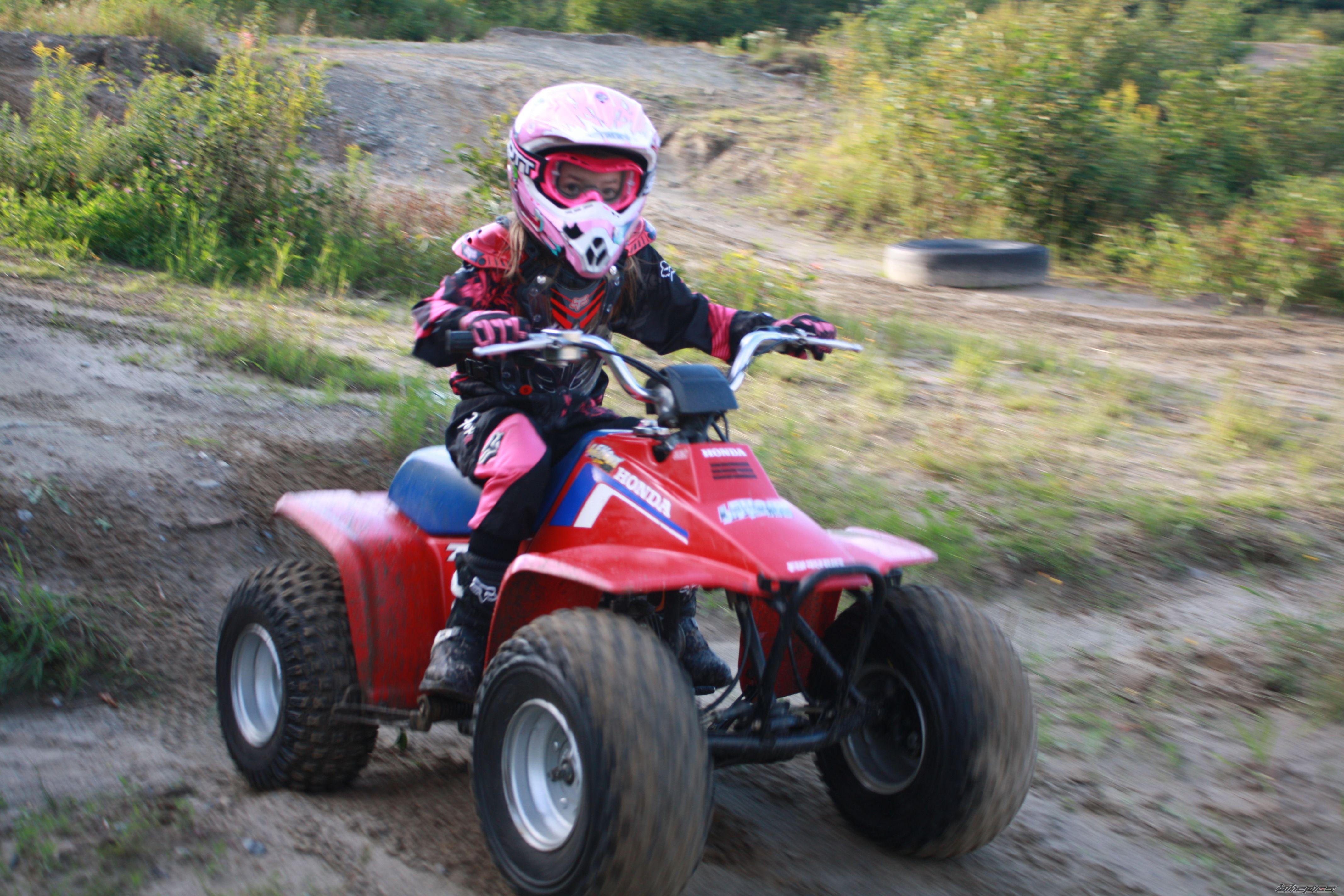 1986 HONDA FOURTRAX 70 | Picture 1391085 motorcycle photo
