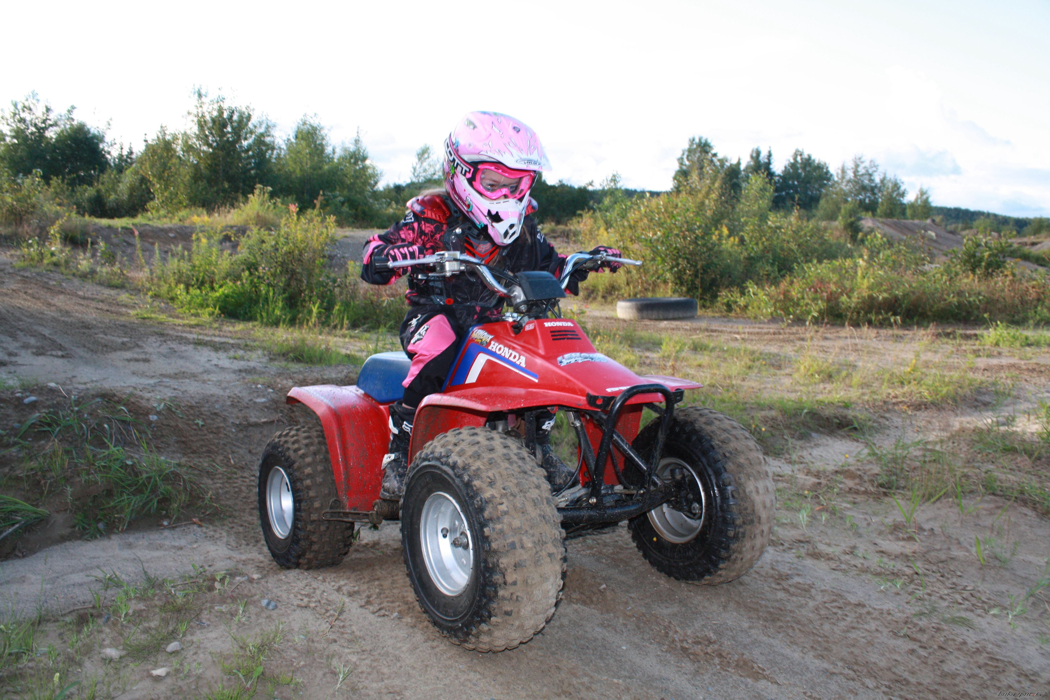 1986 HONDA FOURTRAX 70 | Picture 1391086 motorcycle photo