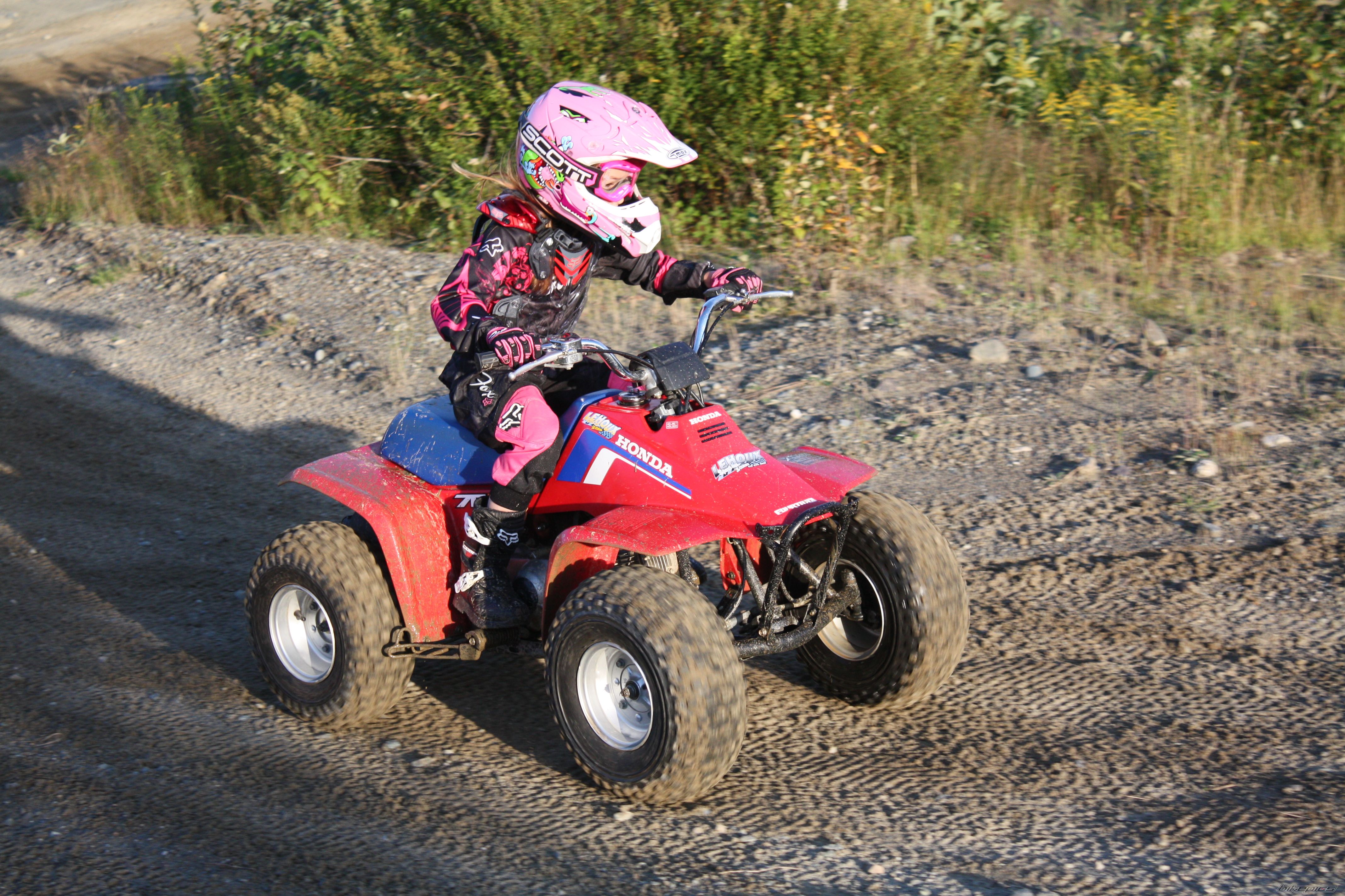 1986 HONDA FOURTRAX 70 | Picture 1391089 motorcycle photo