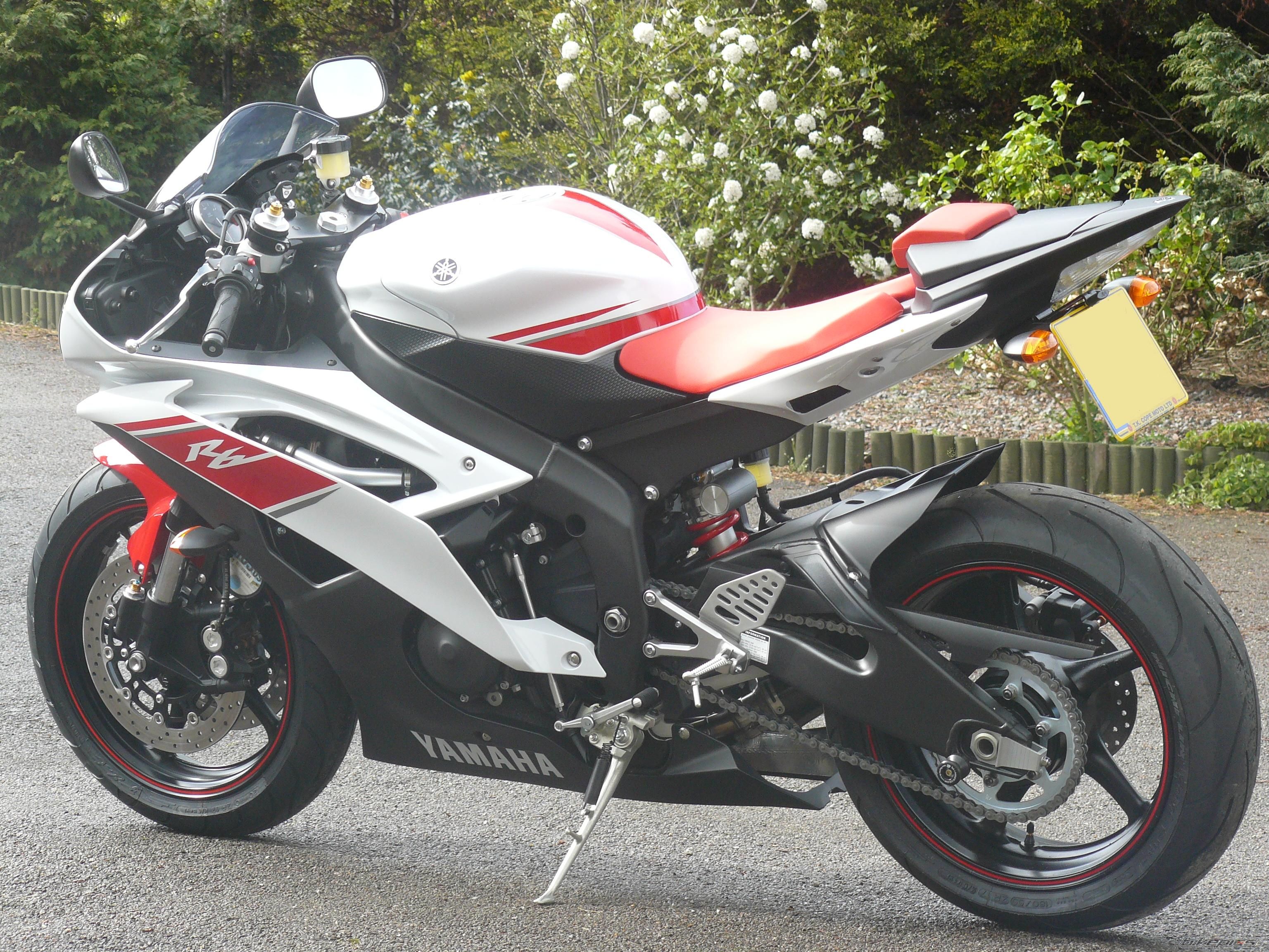 2008 YAMAHA YZF R6 | Picture 1391093 motorcycle photo