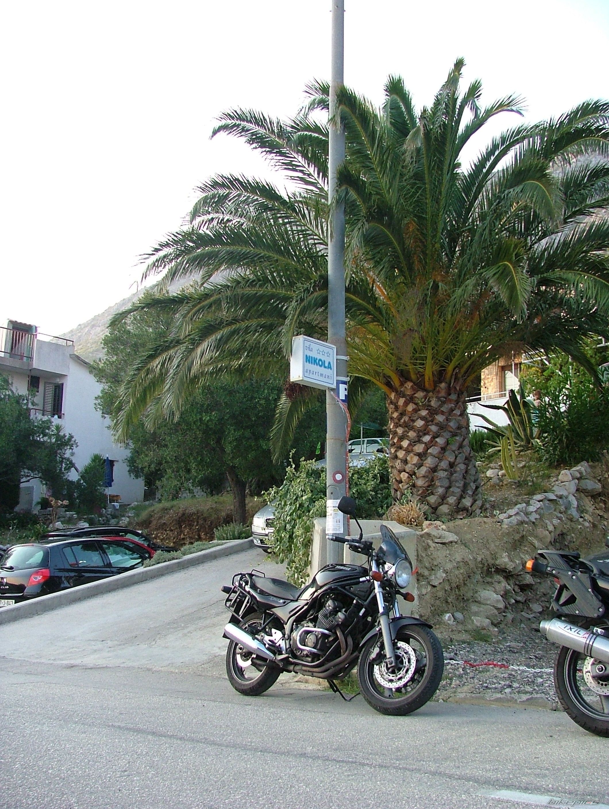 1998 YAMAHA XJ 600 | Picture 1391651 motorcycle photo