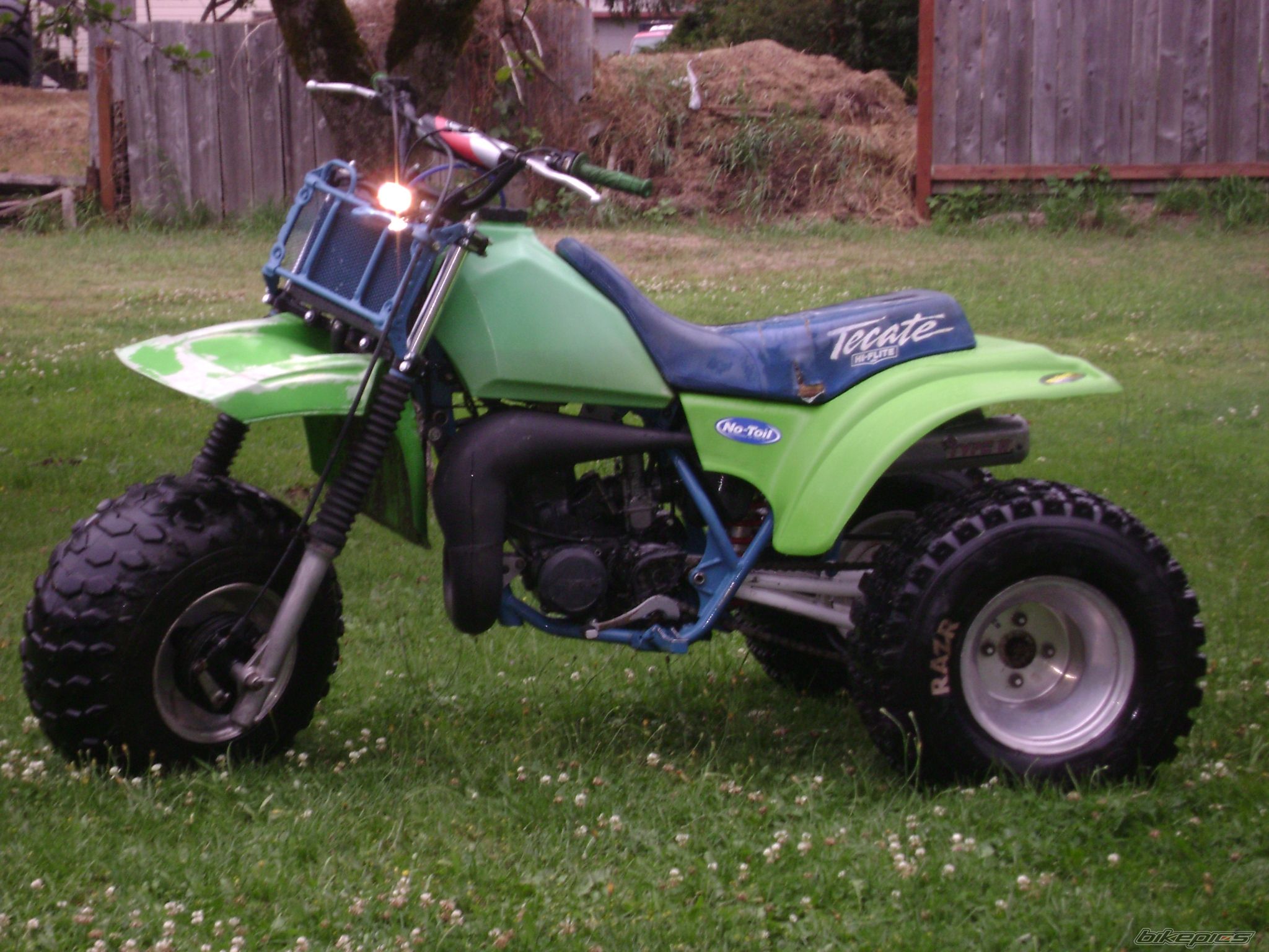 1984 KAWASAKI TECATE 3 | Picture 1391983 motorcycle photo