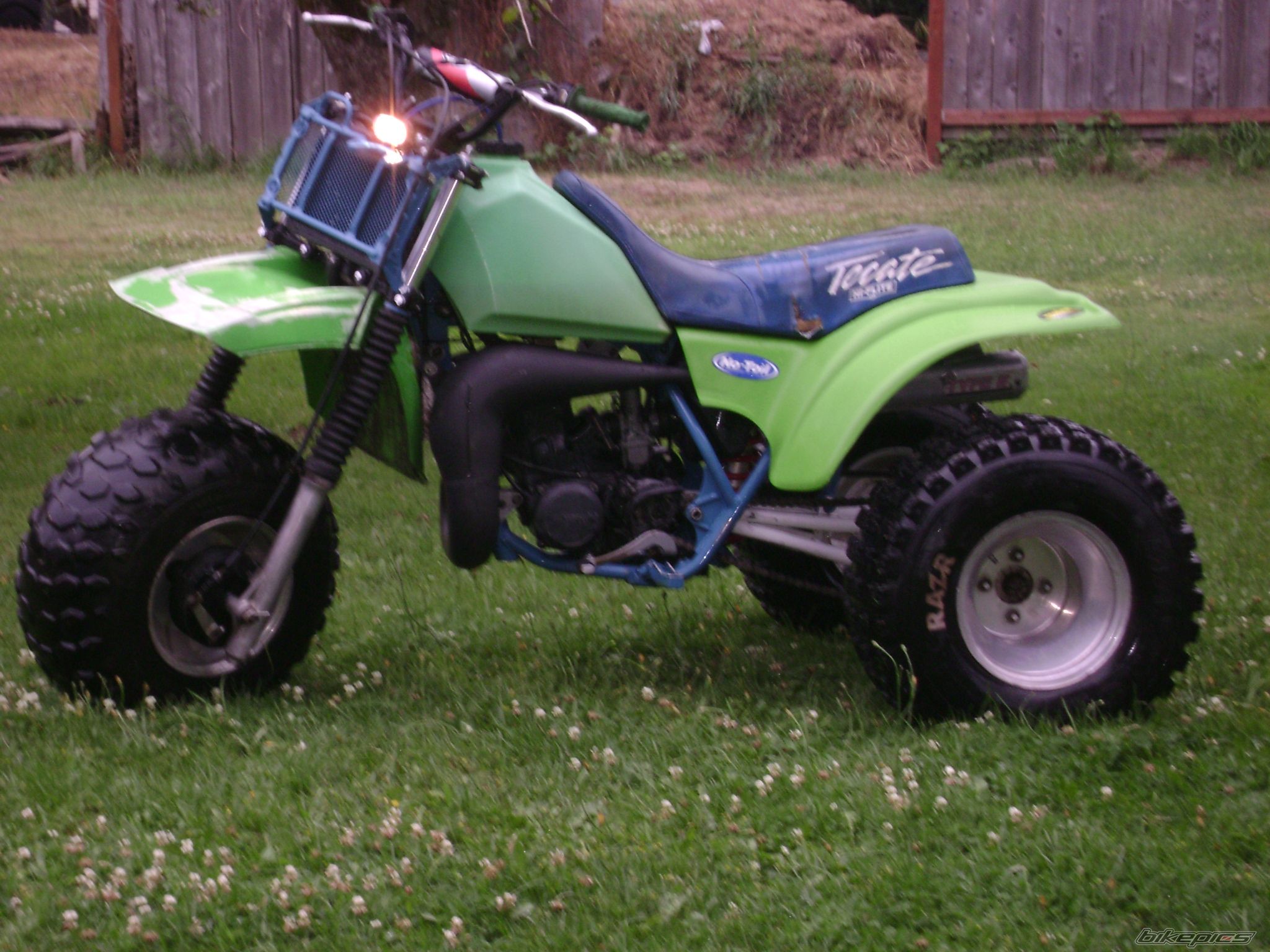 1984 KAWASAKI TECATE 3 | Picture 1391984 motorcycle photo