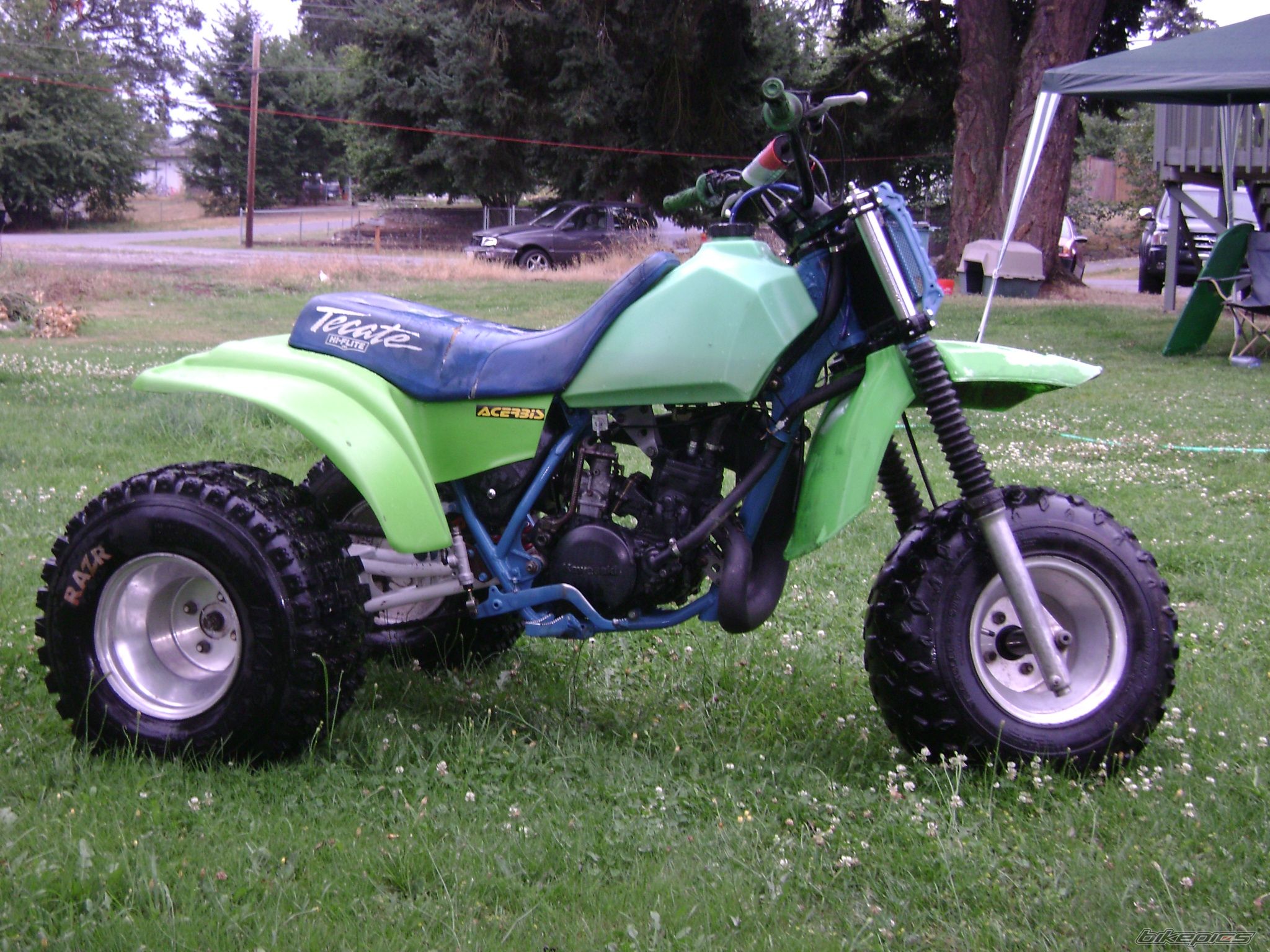 1984 KAWASAKI TECATE 3 | Picture 1391986 motorcycle photo