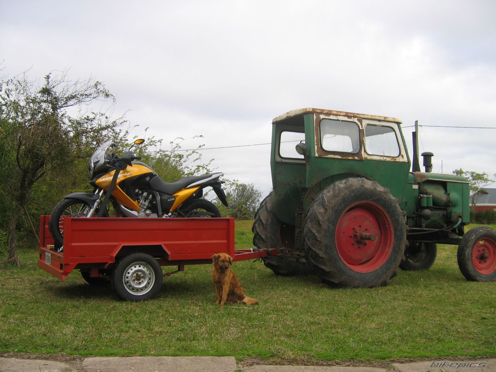 2008 HONDA XL 650V TRANSALP | Picture 1392253 motorcycle photo