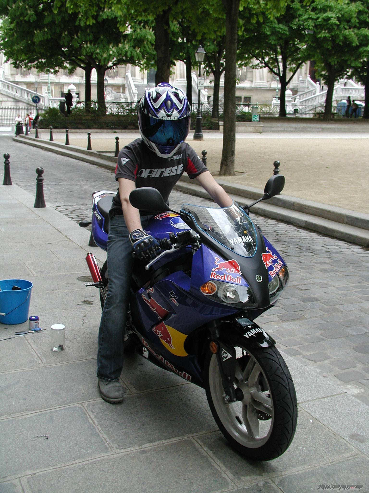 2003 YAMAHA TZR 50 | Picture 139226 motorcycle photo