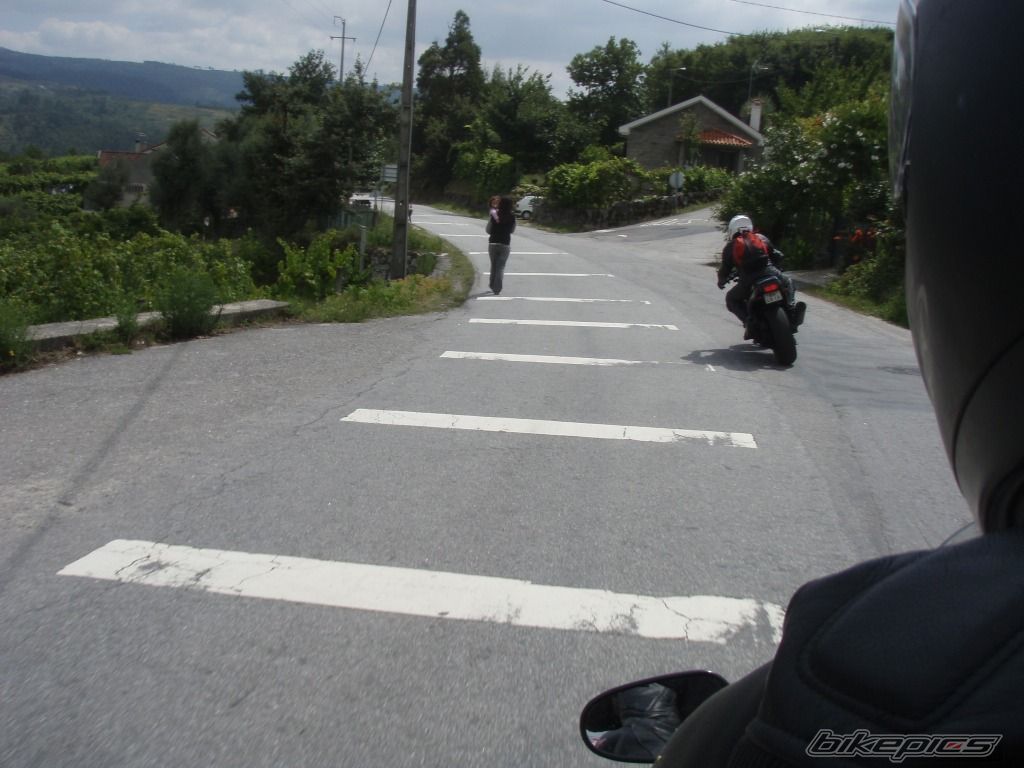 1997 TRIUMPH SPEED TRIPLE | Picture 1392645 motorcycle photo