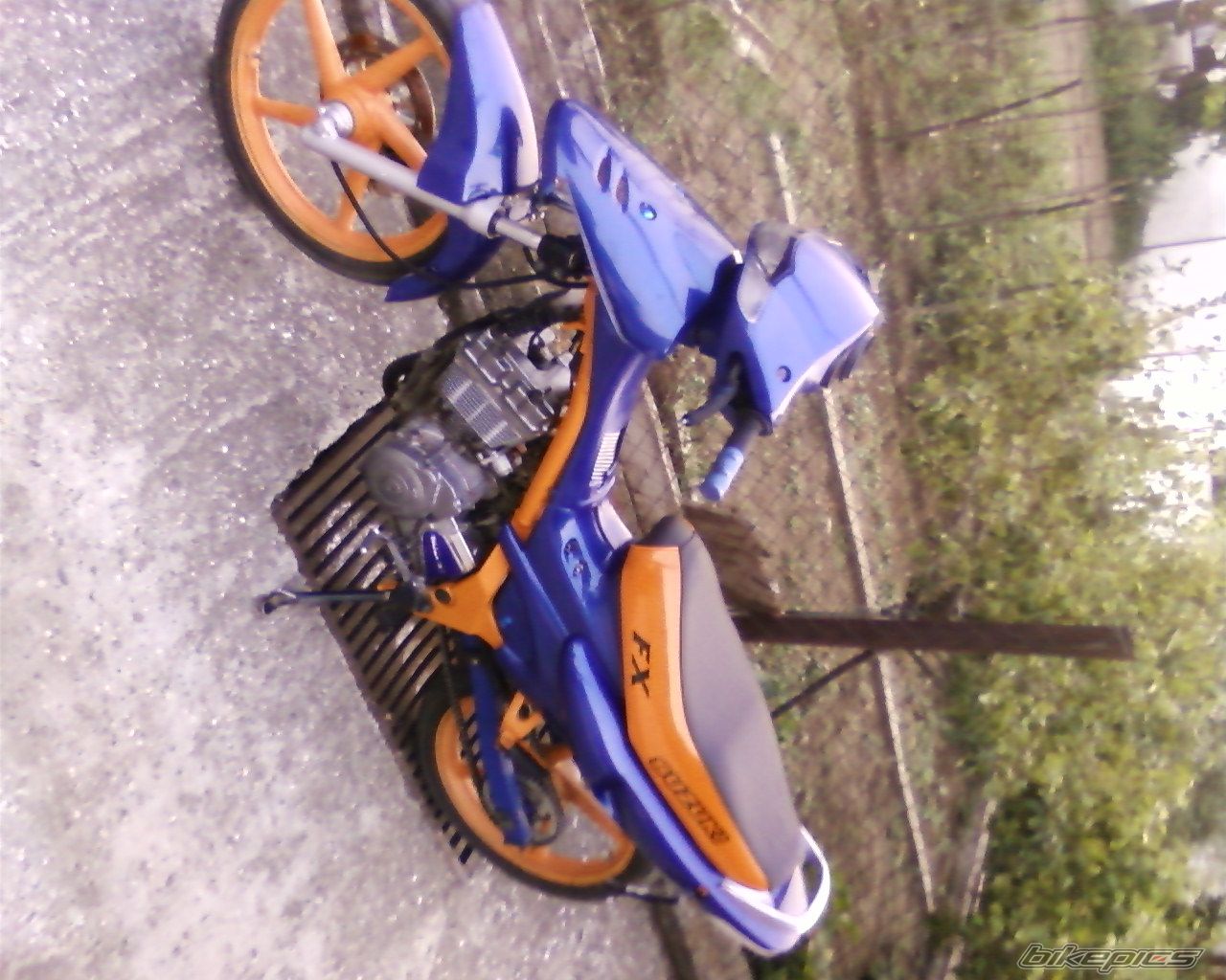 2008 SUZUKI FX 125 | Picture 1393426 motorcycle photo