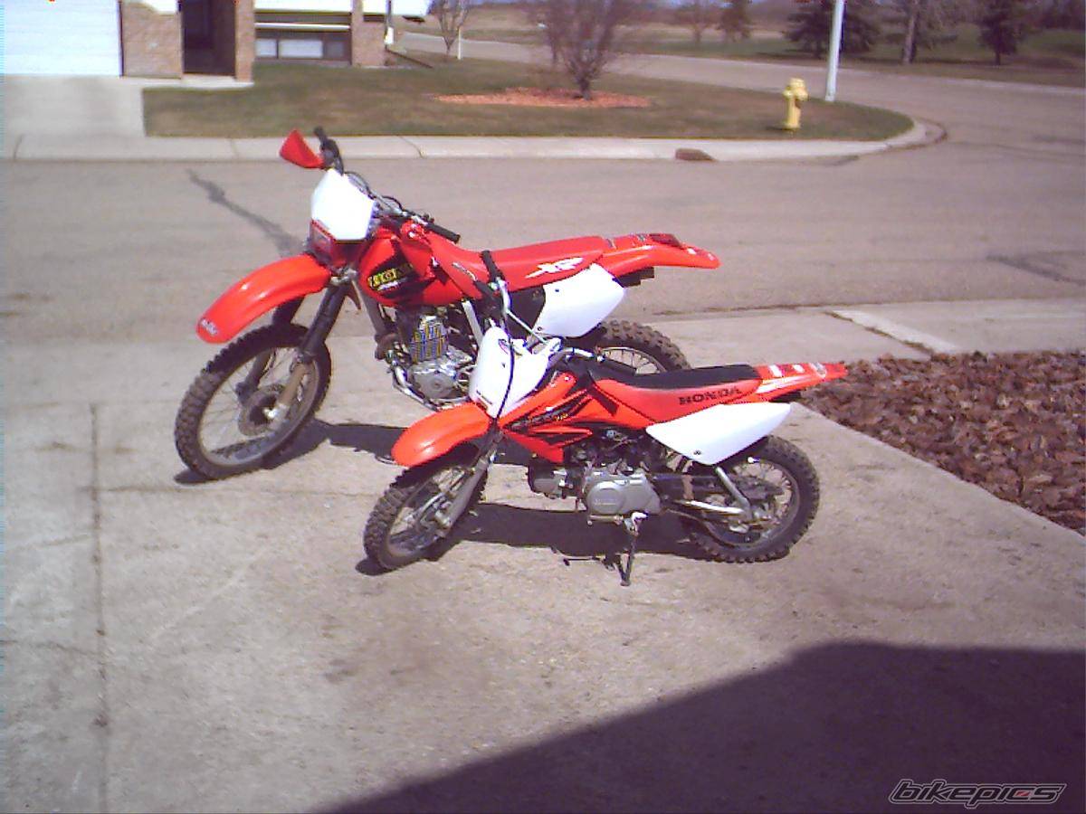 2001 HONDA XR 250 | Picture 139353 motorcycle photo