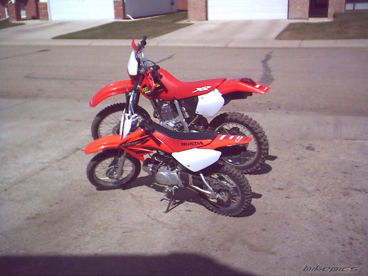 2001 HONDA XR 250 | Picture 139354 motorcycle photo