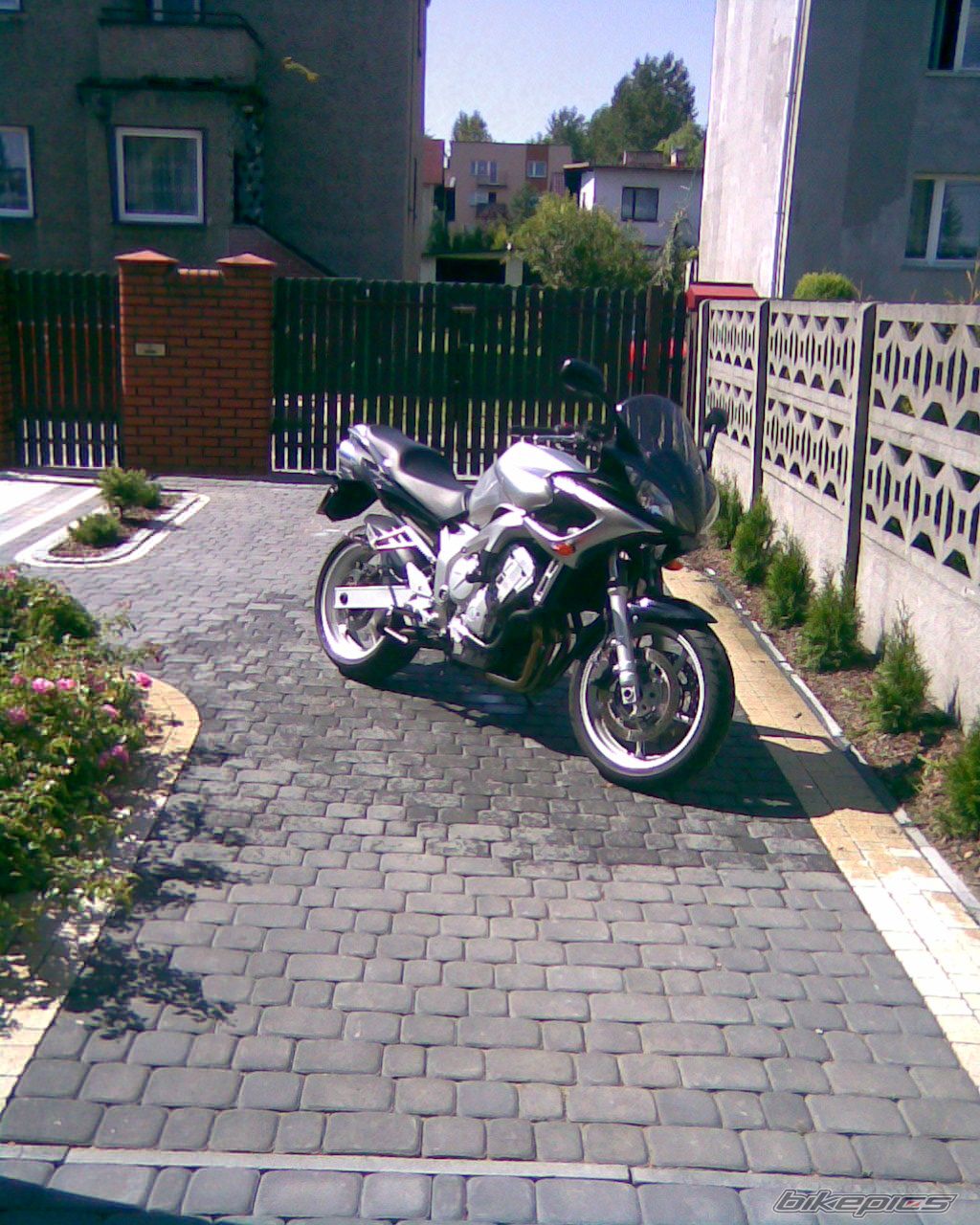 2004 YAMAHA FZ6 FAZER | Picture 1393627 motorcycle photo