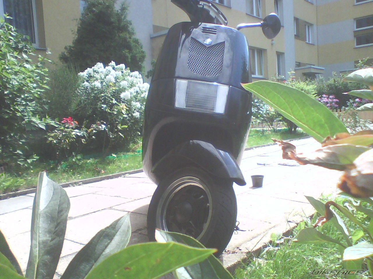 1992 PIAGGIO SFERA NSL 50 | Picture 1394080 motorcycle photo
