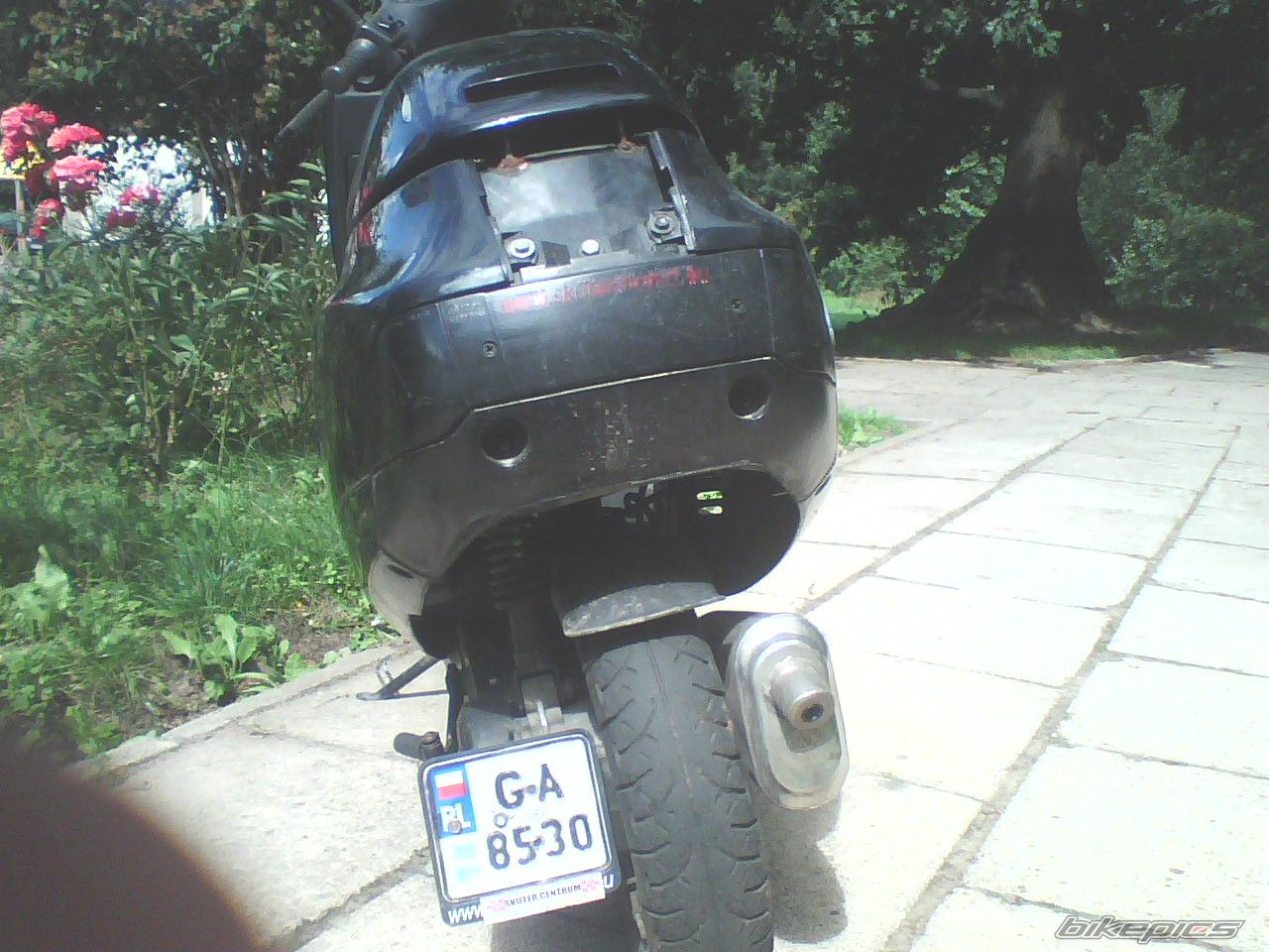 1992 PIAGGIO SFERA NSL 50 | Picture 1394081 motorcycle photo