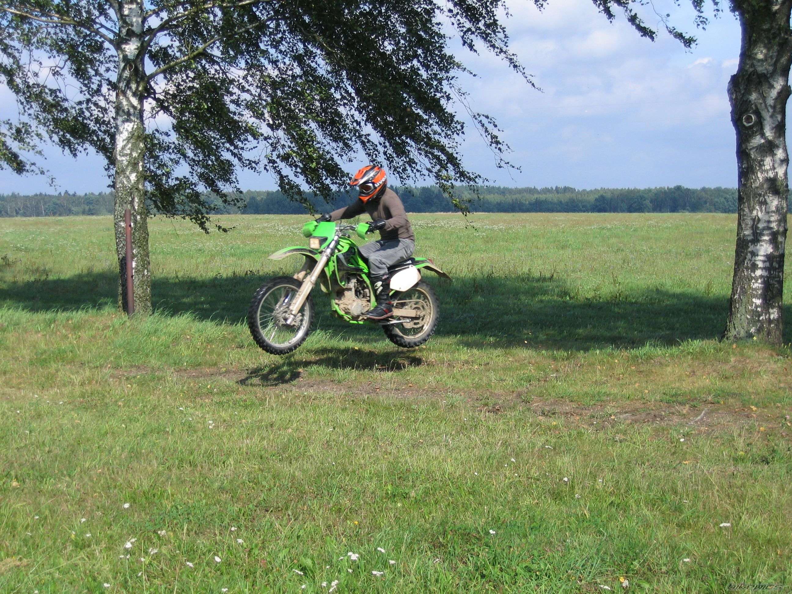 2001 KAWASAKI KLX 300 | Picture 1394156 motorcycle photo