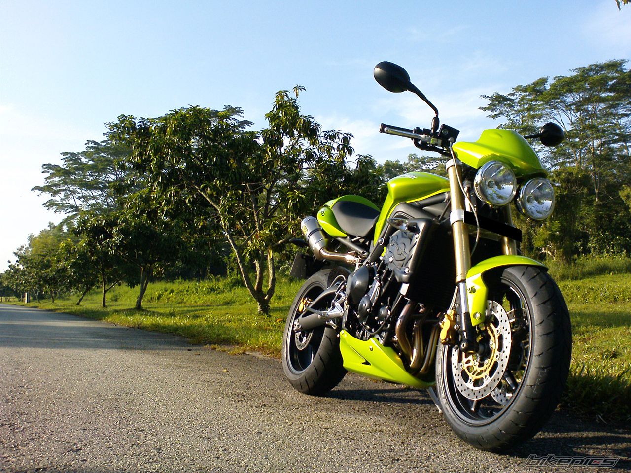 2008 TRIUMPH SPEED TRIPLE | Picture 1394180 motorcycle photo