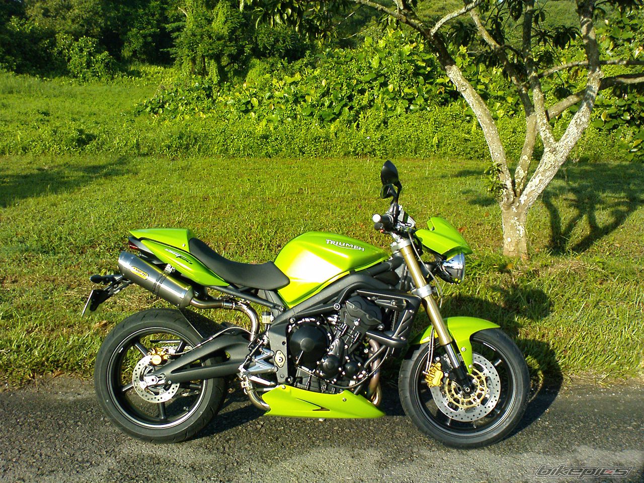 2008 TRIUMPH SPEED TRIPLE | Picture 1394187 motorcycle photo