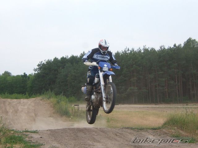 2002 YAMAHA TTR 600 | Picture 1394624 motorcycle photo