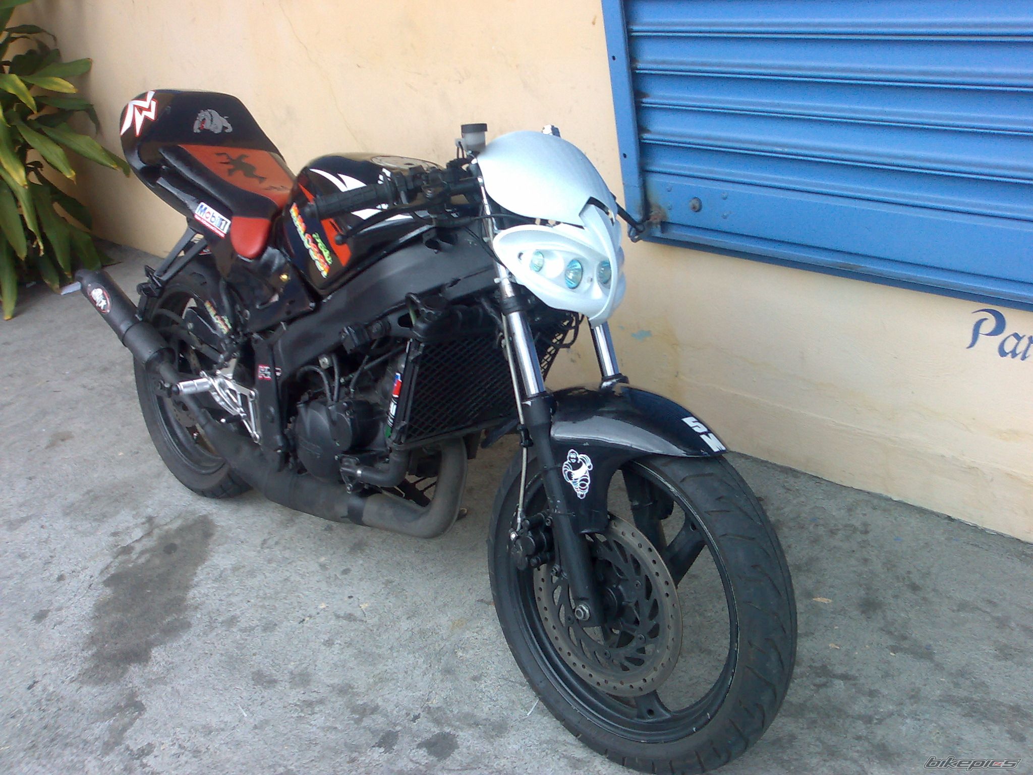 2001 HONDA FSX 150 | Picture 1396212 motorcycle photo