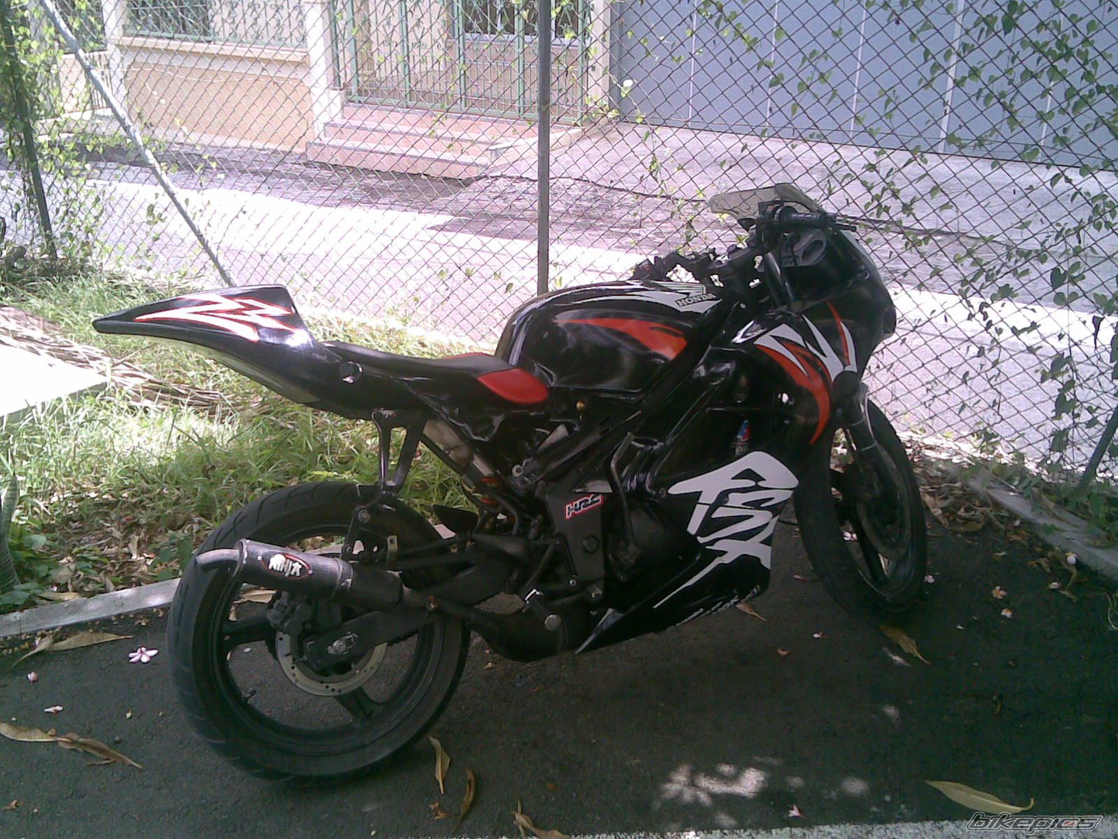 2001 HONDA FSX 150 | Picture 1396223 motorcycle photo