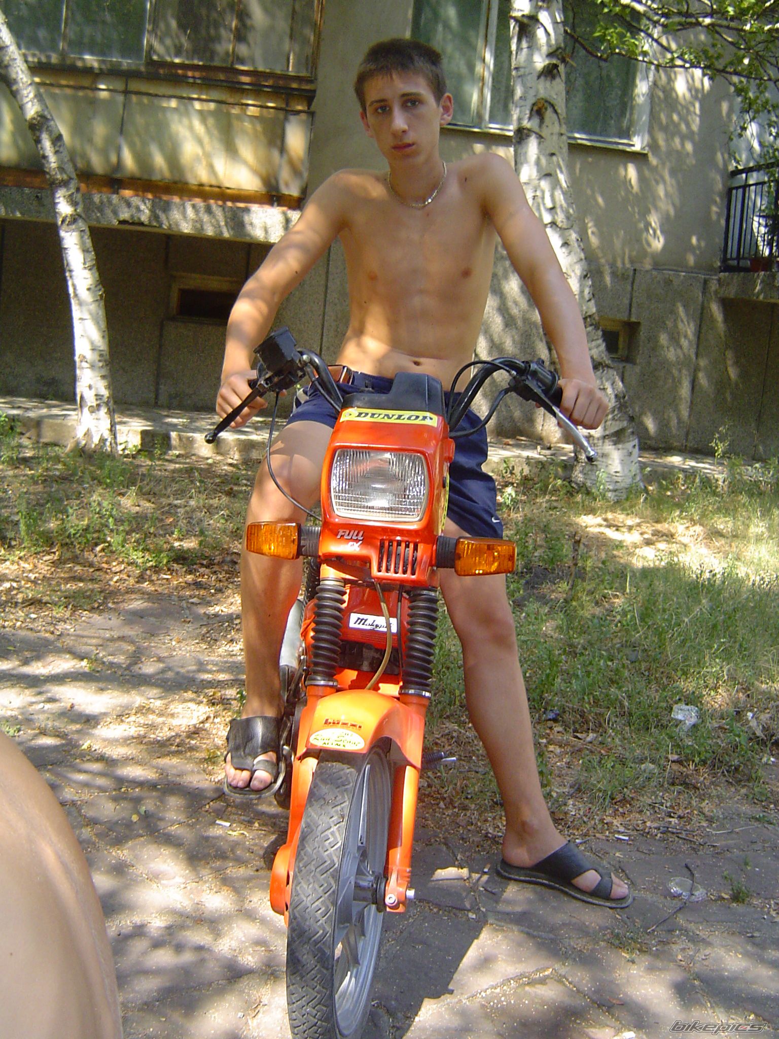 1993 MALAGUTI FIFTY FULL | Picture 1396497 motorcycle photo