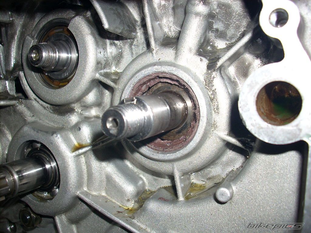    | Picture 1396500 motorcycle photo