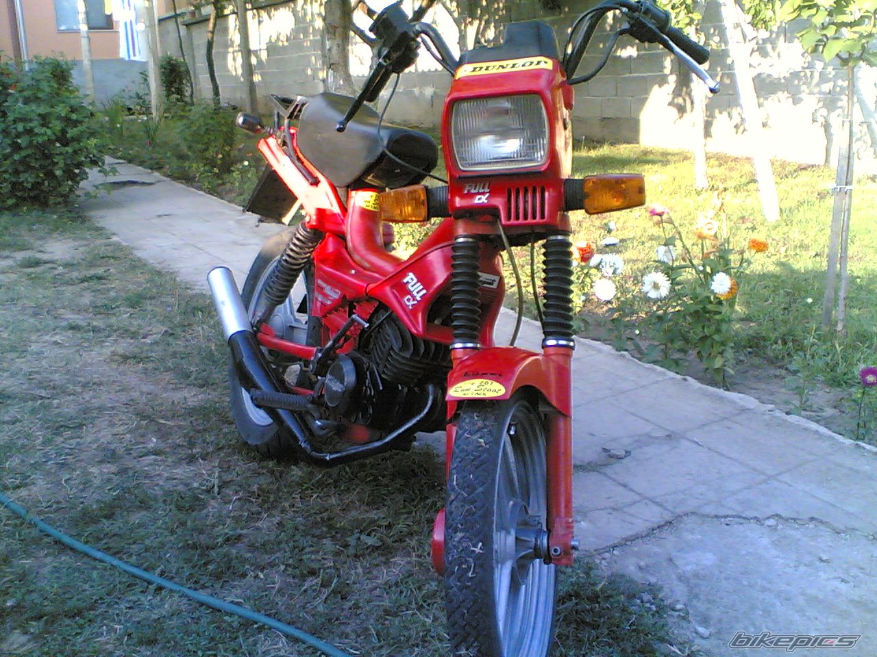 1993 MALAGUTI FIFTY FULL | Picture 1396503 motorcycle photo