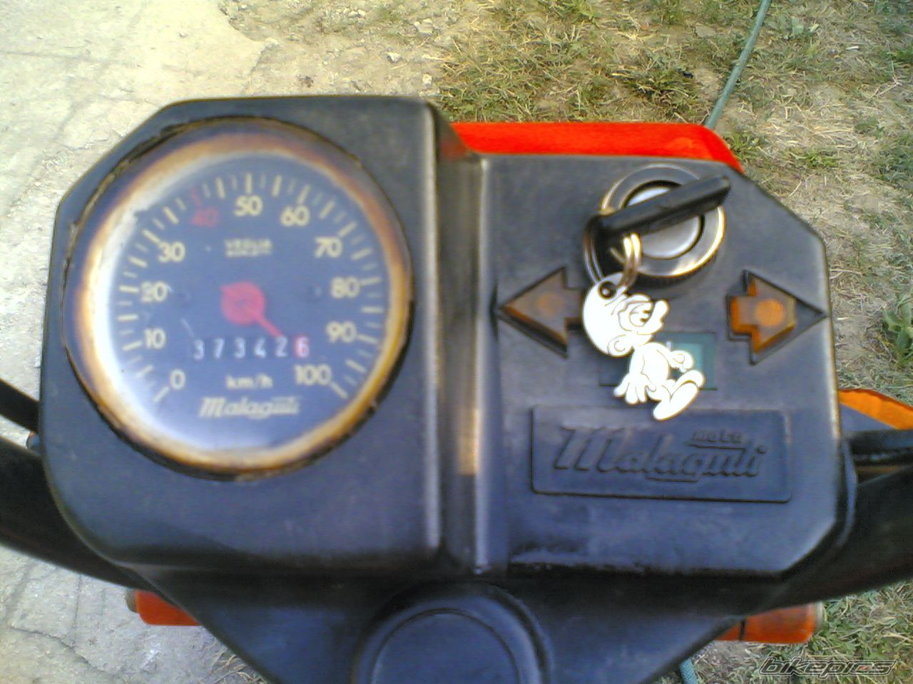 1993 MALAGUTI FIFTY FULL | Picture 1396519 motorcycle photo