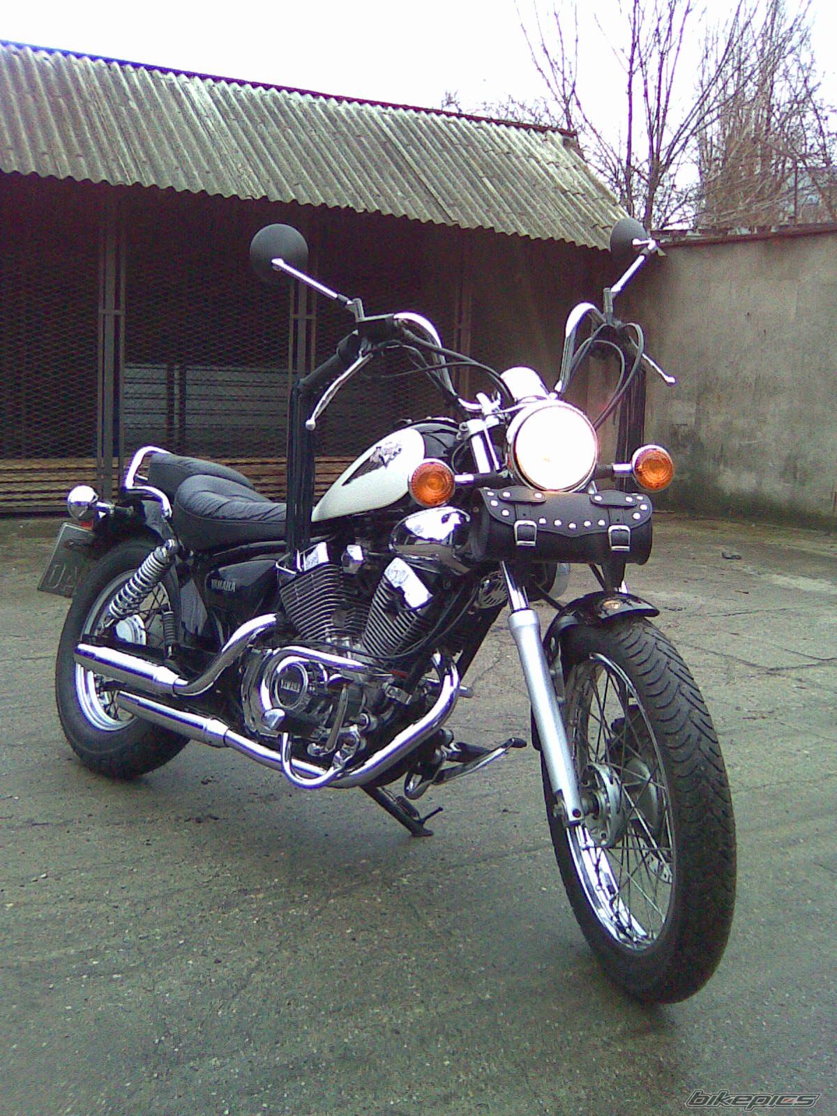 1999 YAMAHA VIRAGO XV125 | Picture 1397085 motorcycle photo