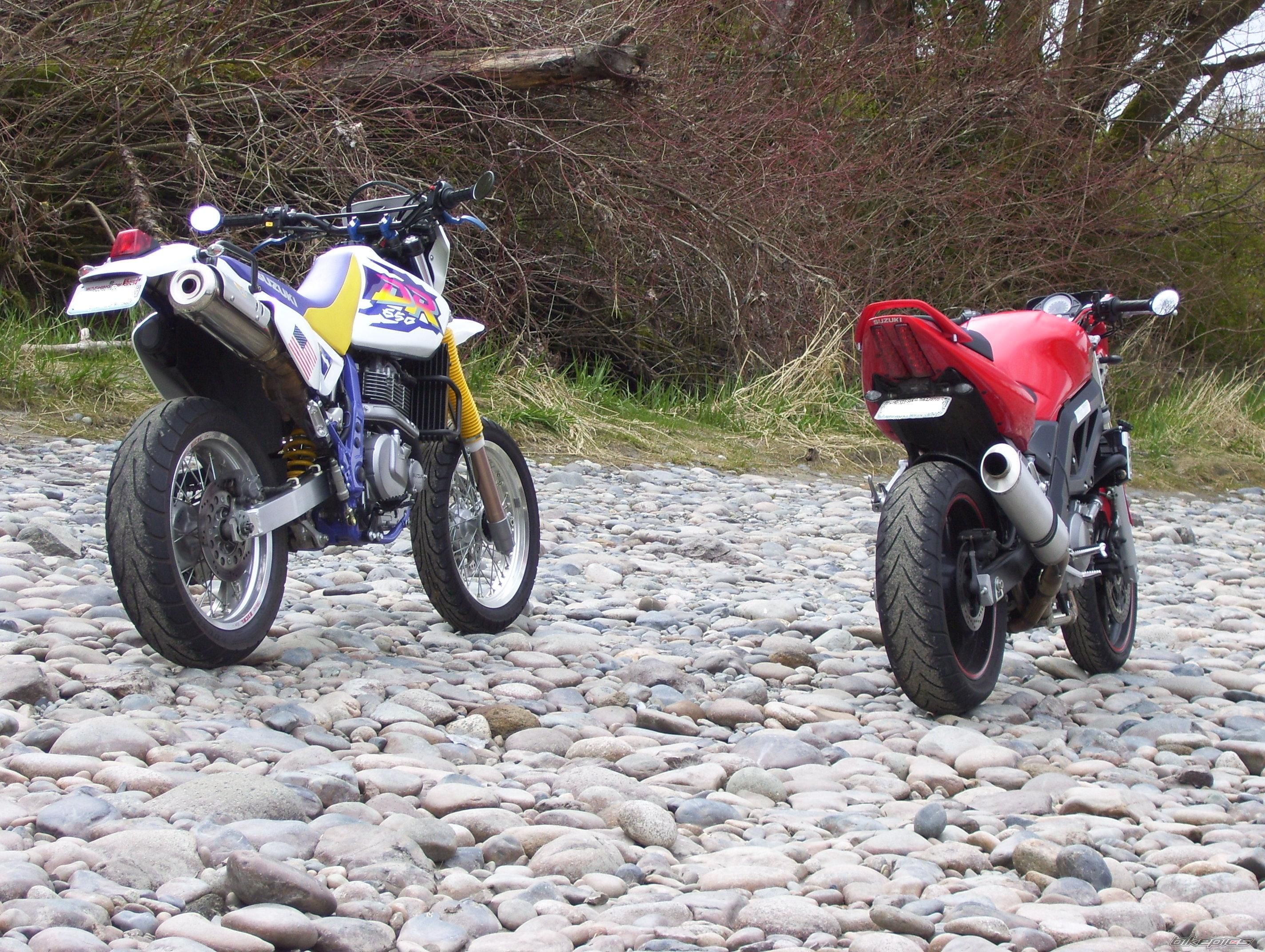 2006 SUZUKI SV 650 | Picture 1397285 motorcycle photo