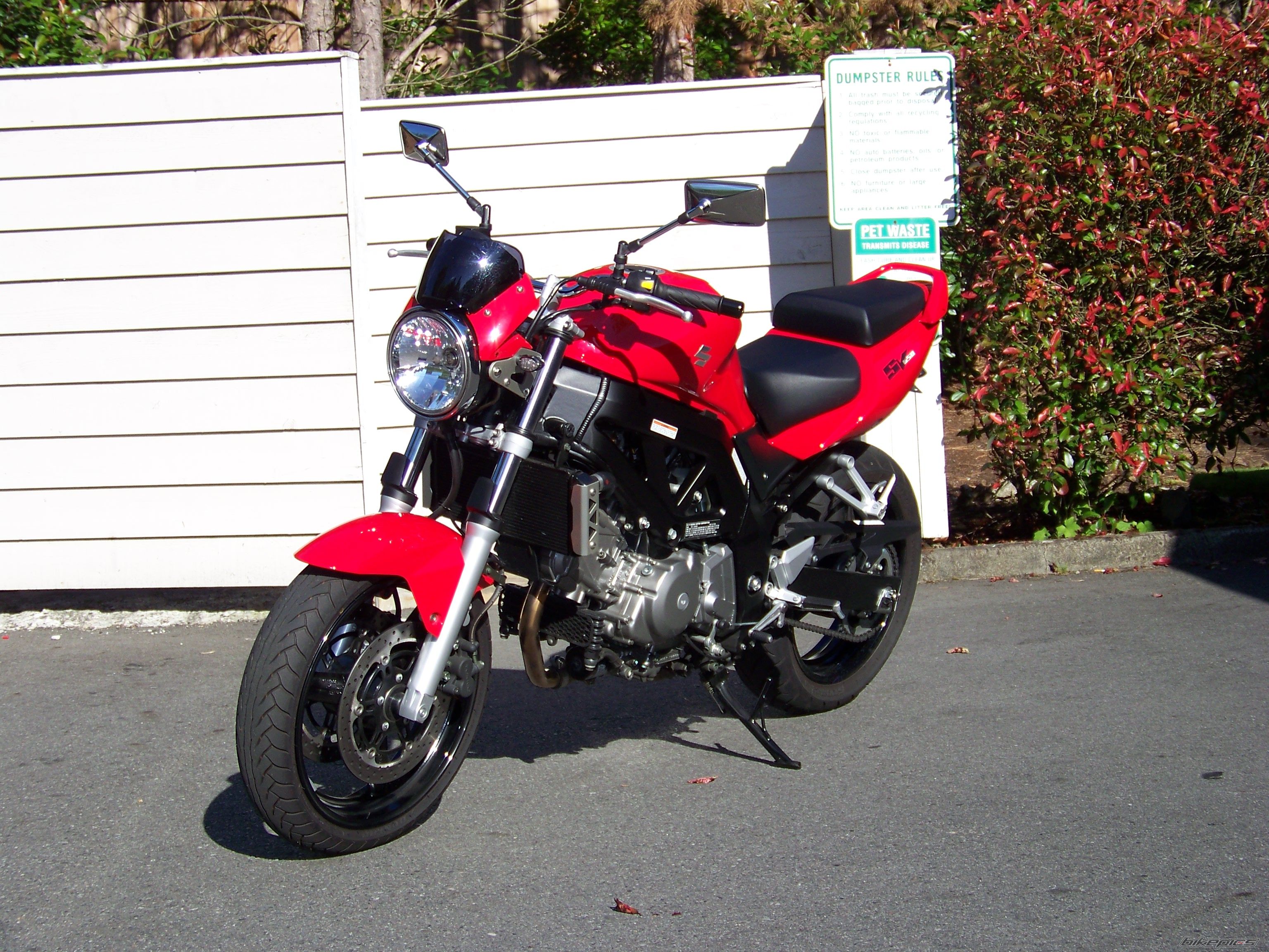 2006 SUZUKI SV 650 | Picture 1397289 motorcycle photo