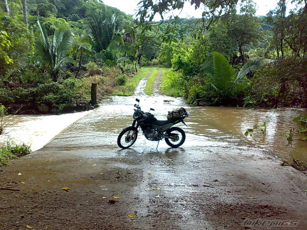 2008 KAWASAKI KLR 650 | Picture 1397296 motorcycle photo