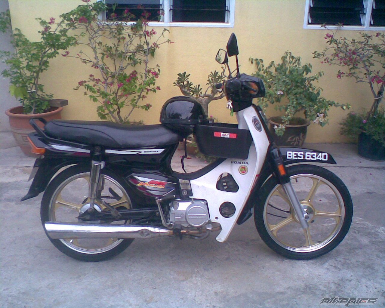 2001 HONDA EX5 DREAM | Picture 1397541 motorcycle photo