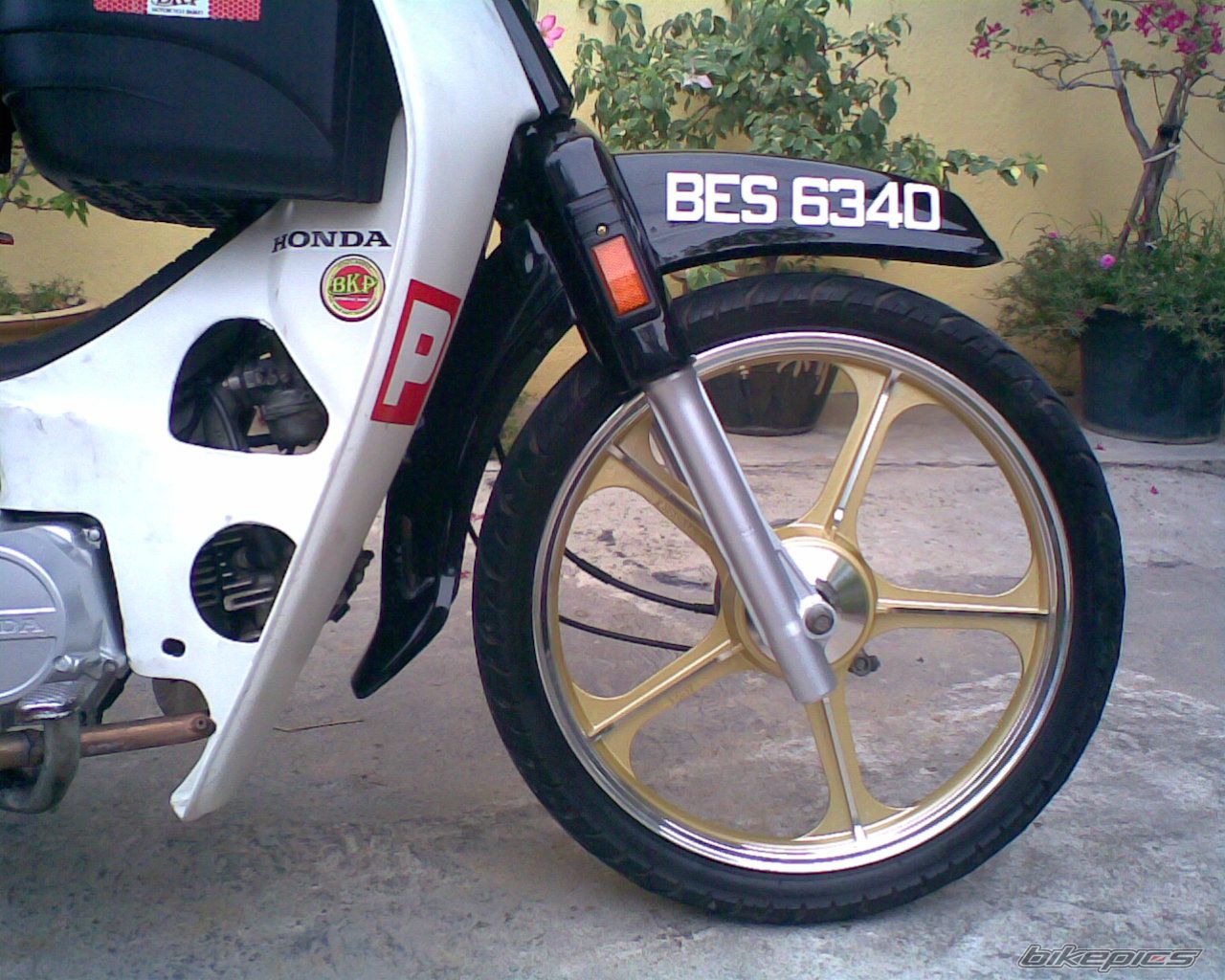 2001 HONDA EX5 DREAM | Picture 1397558 motorcycle photo