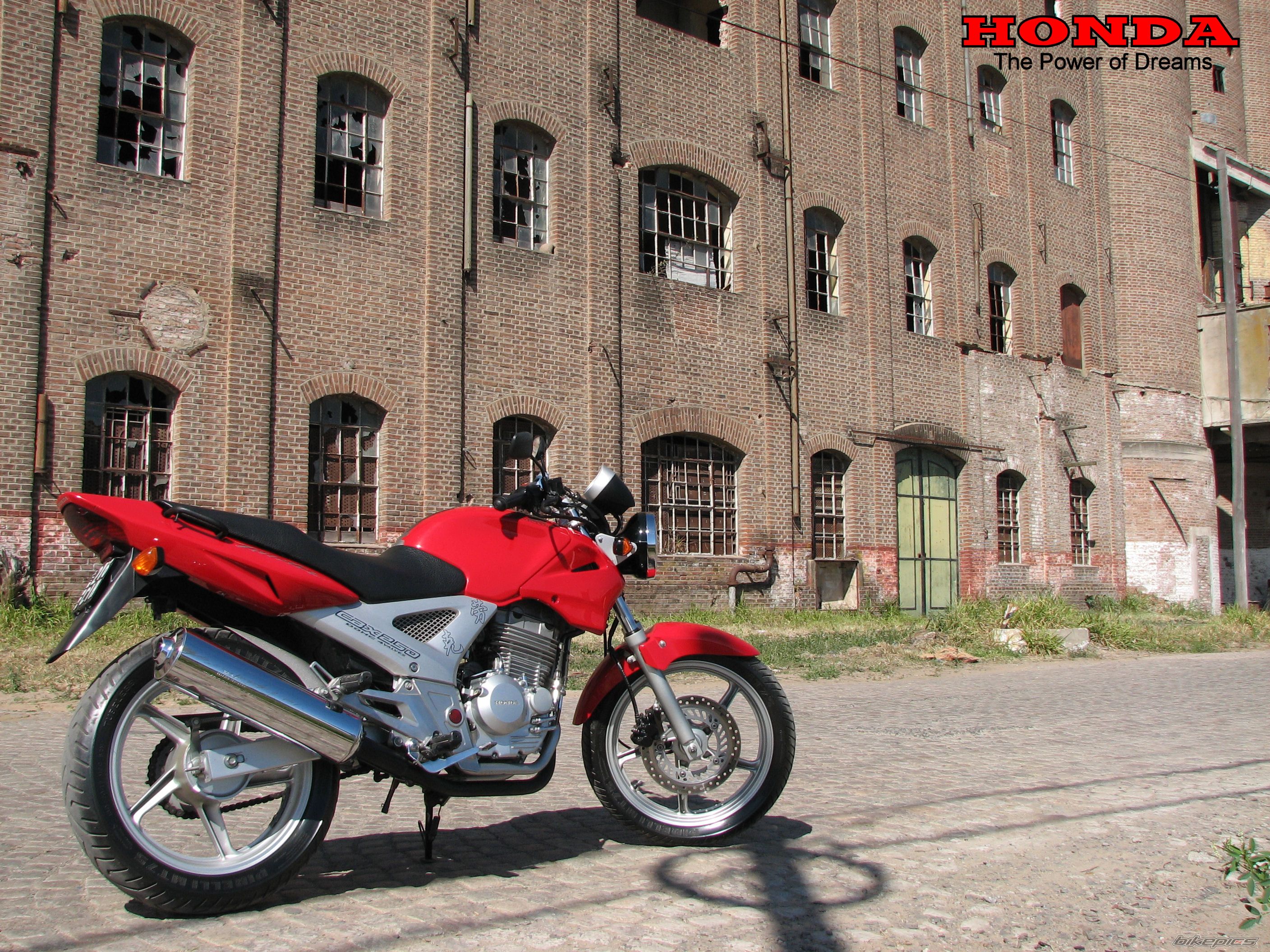 2004 HONDA CBX 250 | Picture 1398019 motorcycle photo