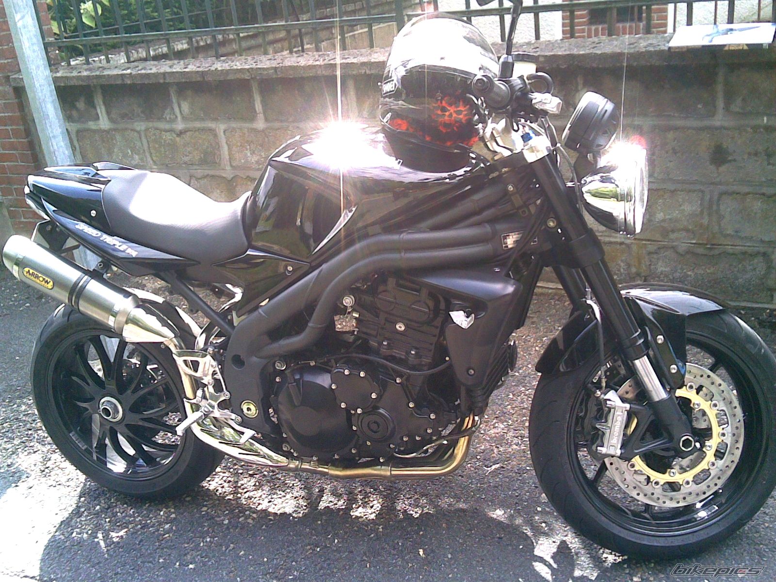 2008 TRIUMPH SPEED TRIPLE | Picture 1398259 motorcycle photo