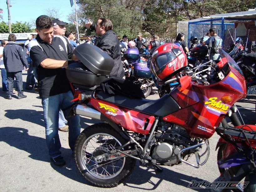 1998 HONDA NX 350 | Picture 1398335 motorcycle photo