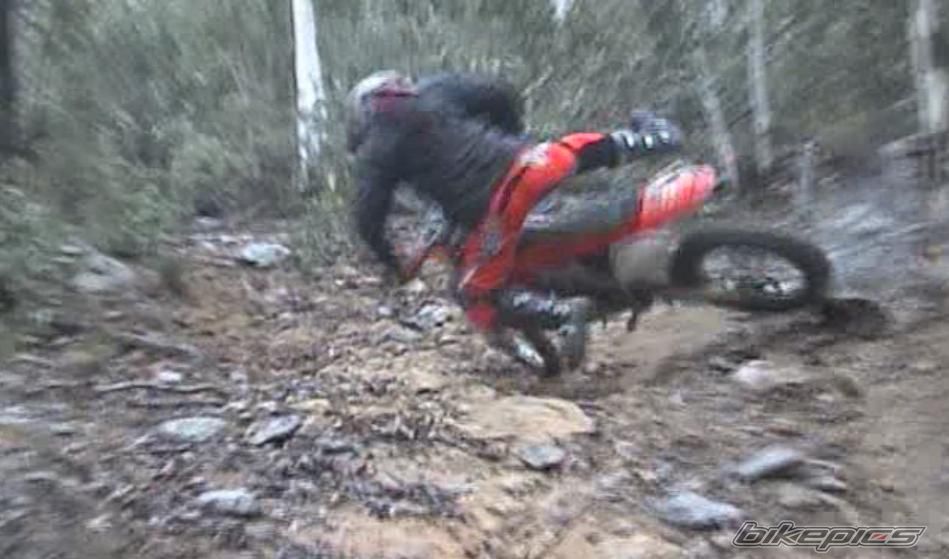 2008 HONDA CRF 450 | Picture 1398366 motorcycle photo
