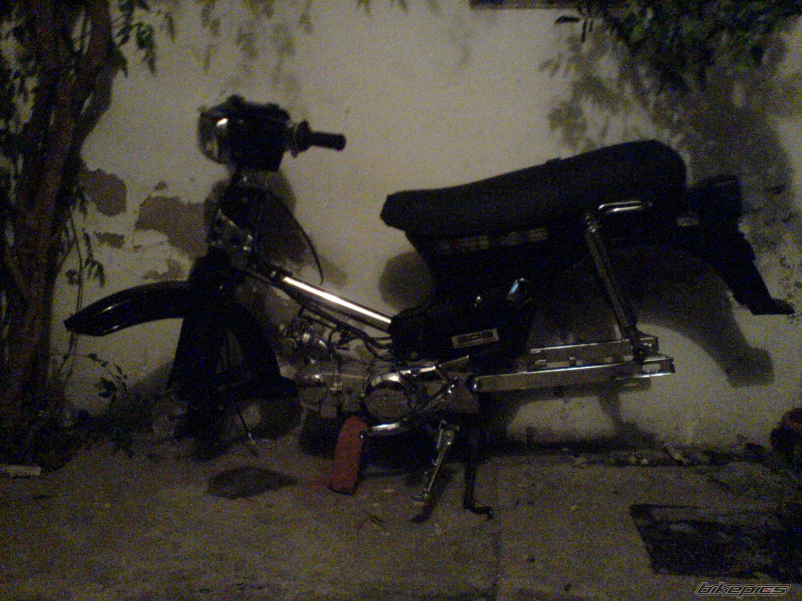 2008 HONDA GLX 50 | Picture 1398801 motorcycle photo