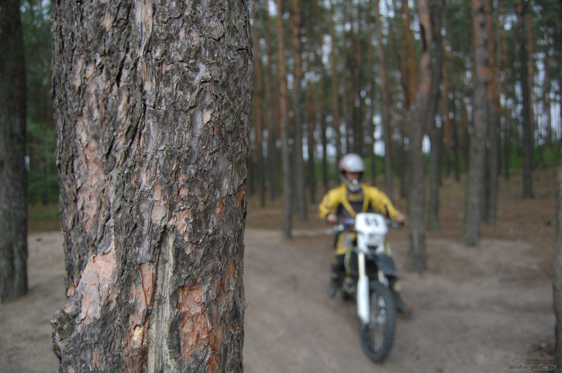 1999 HUSQVARNA WR 125 | Picture 1400221 motorcycle photo