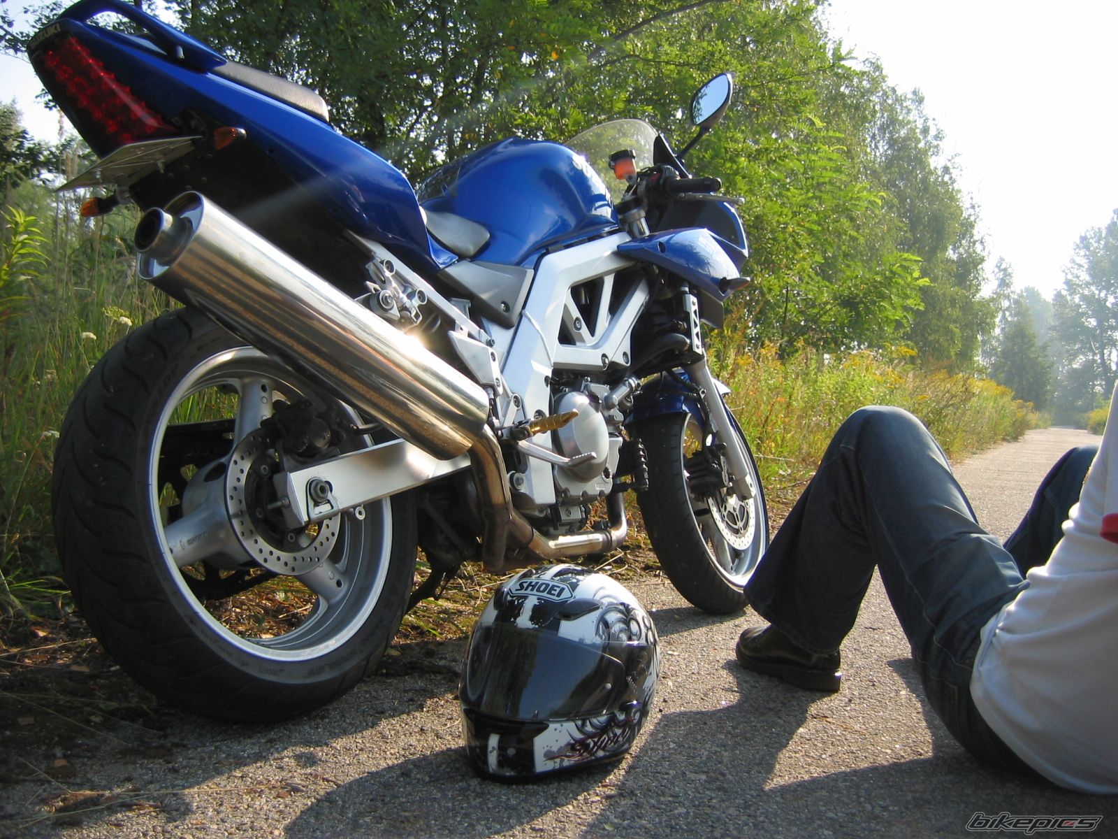 2003 SUZUKI SV 650S | Picture 1400317 motorcycle photo