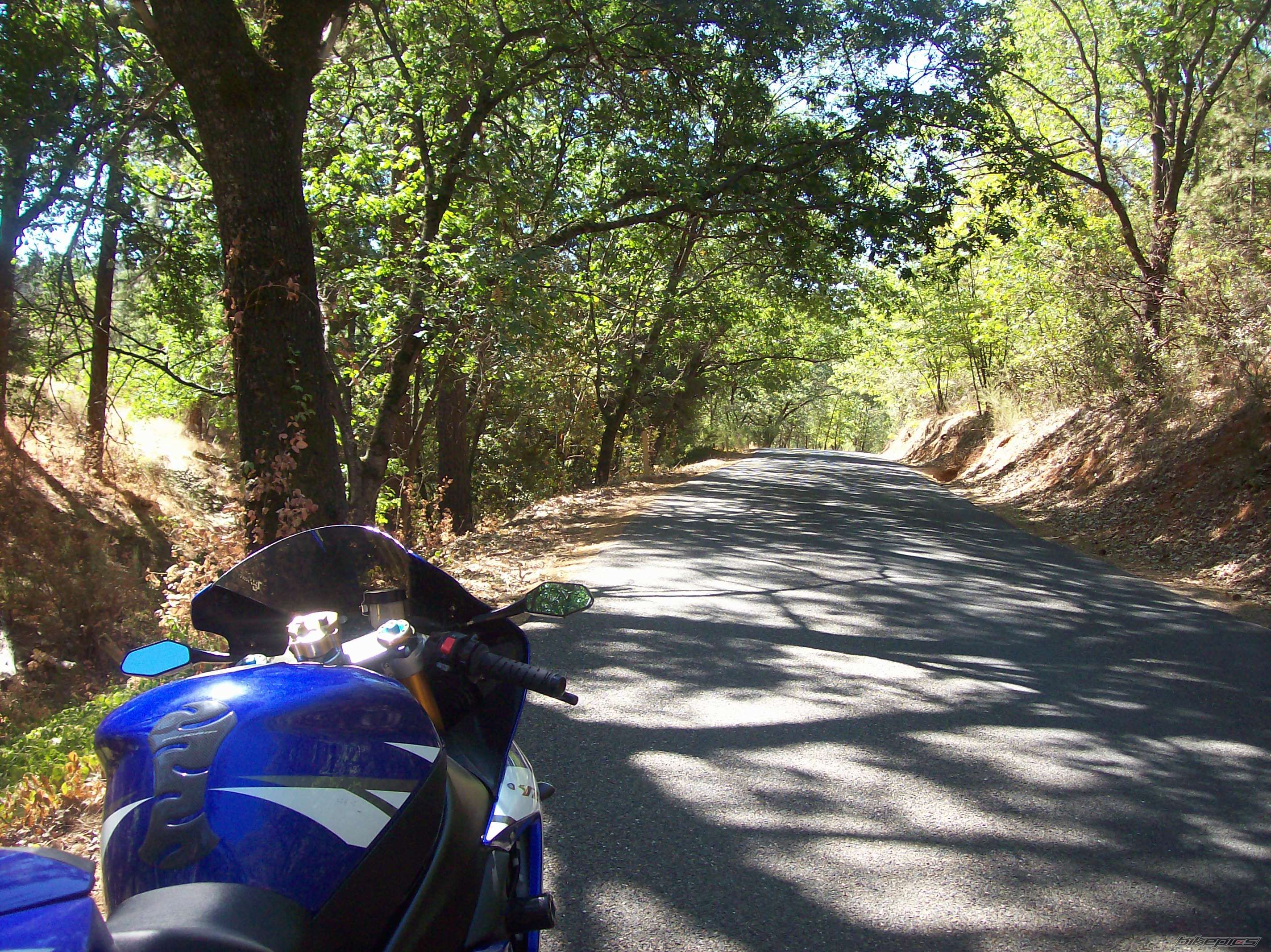 2002 YAMAHA YZF R1 | Picture 1400318 motorcycle photo