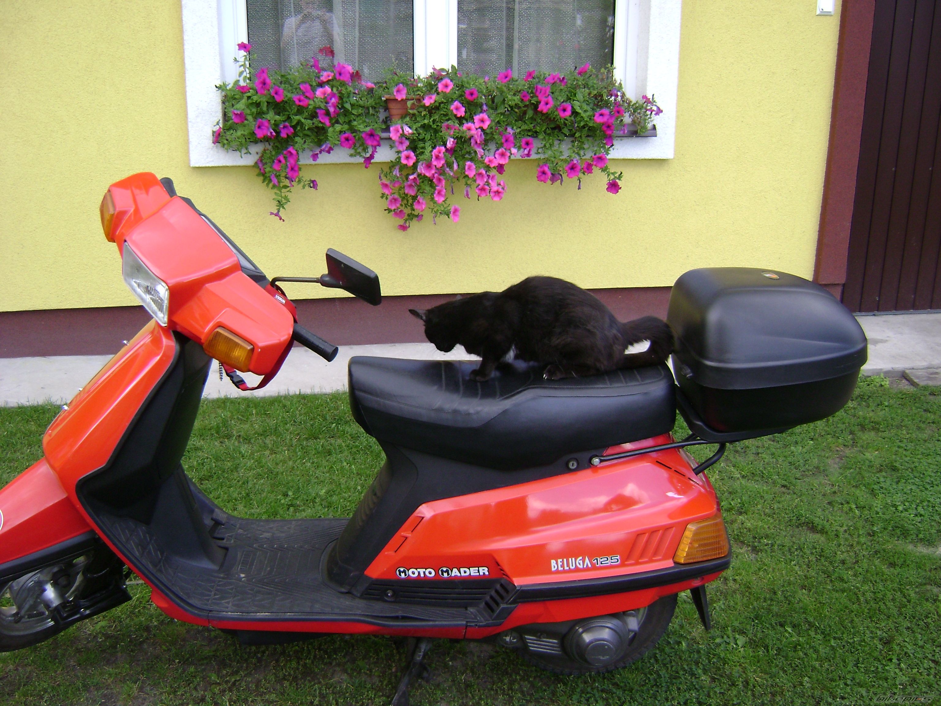 1400589 | Picture 1400589 motorcycle photo