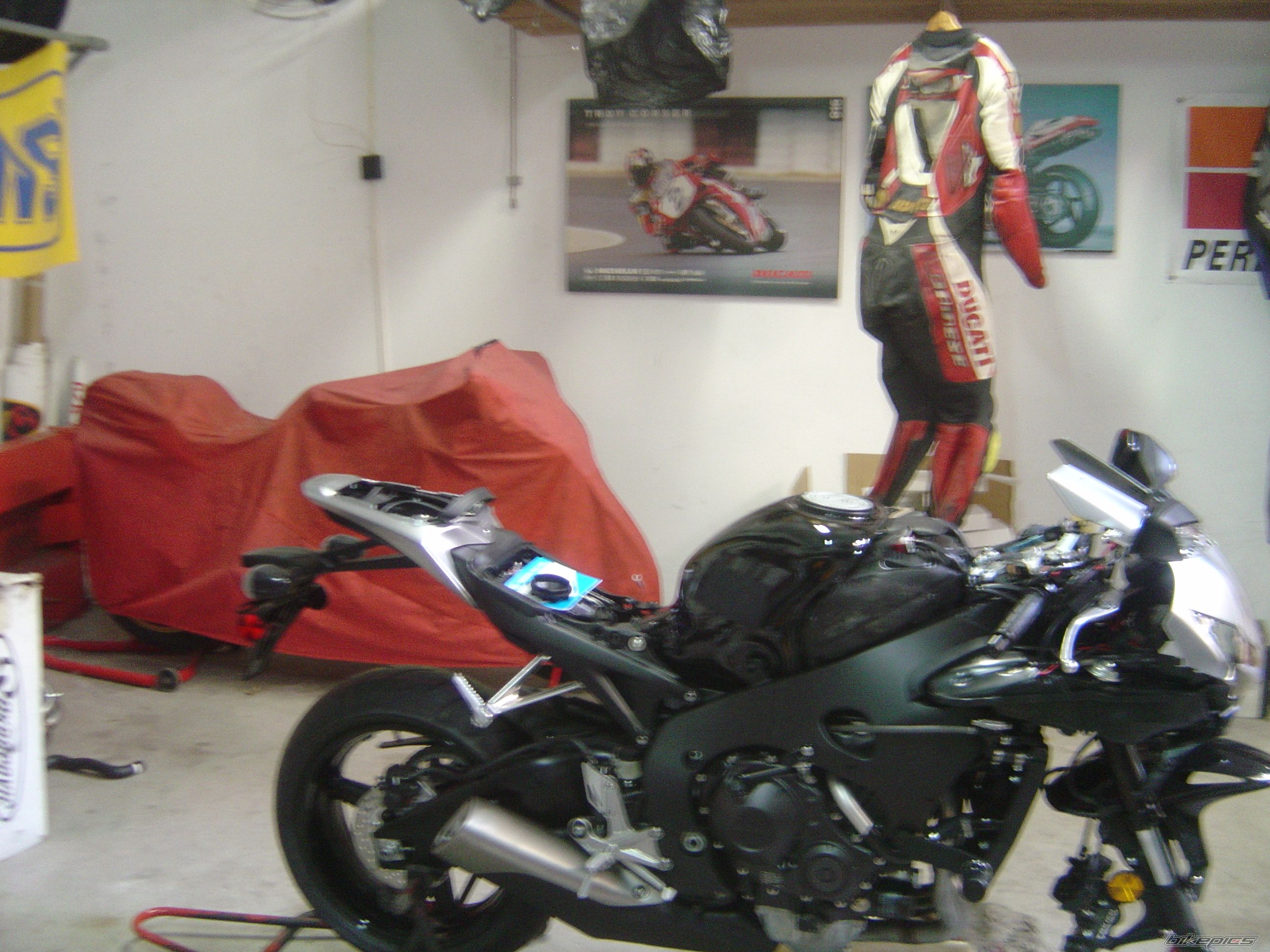 2008 HONDA CBR 1000  RR | Picture 1401483 motorcycle photo