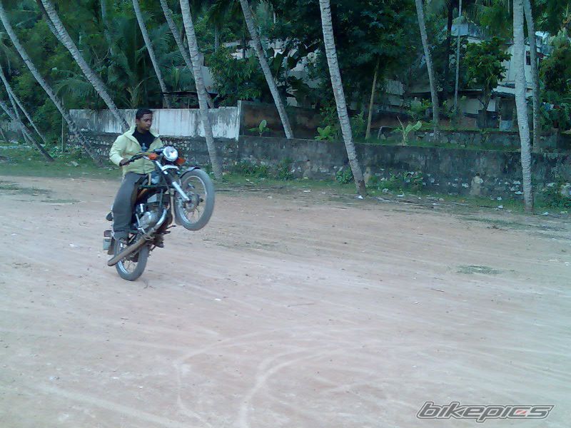2003 YAMAHA RX 135 | Picture 1402509 motorcycle photo