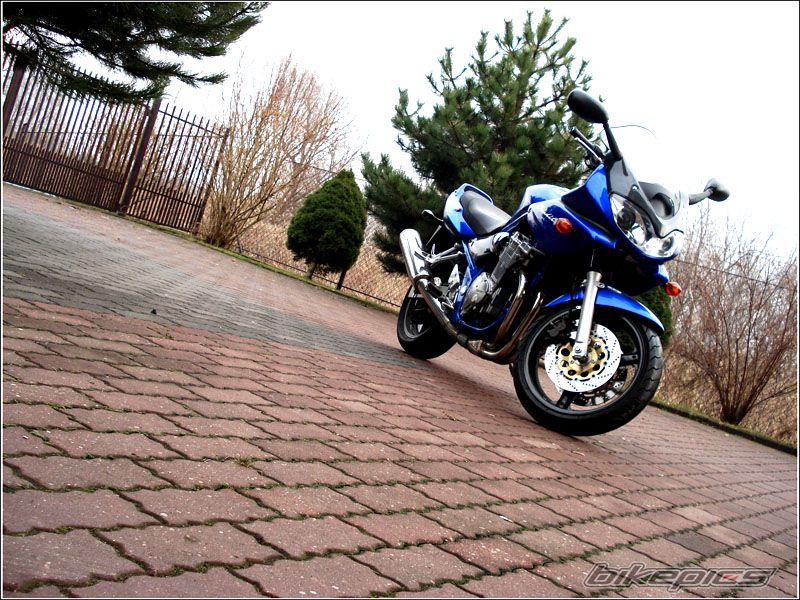 2001 SUZUKI BANDIT 600S | Picture 1402522 motorcycle photo