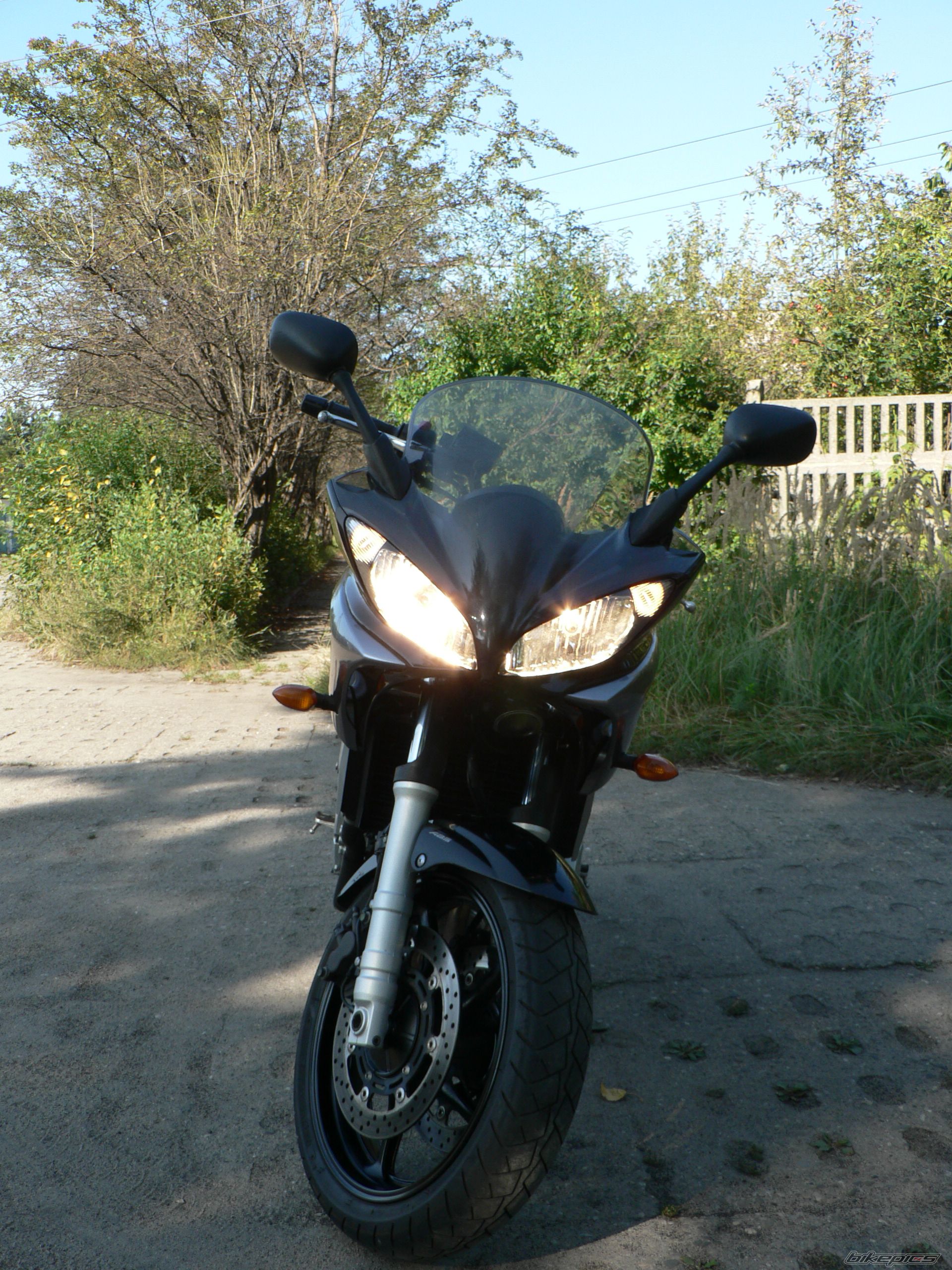 2006 YAMAHA FZ6 FAZER | Picture 1402798 motorcycle photo