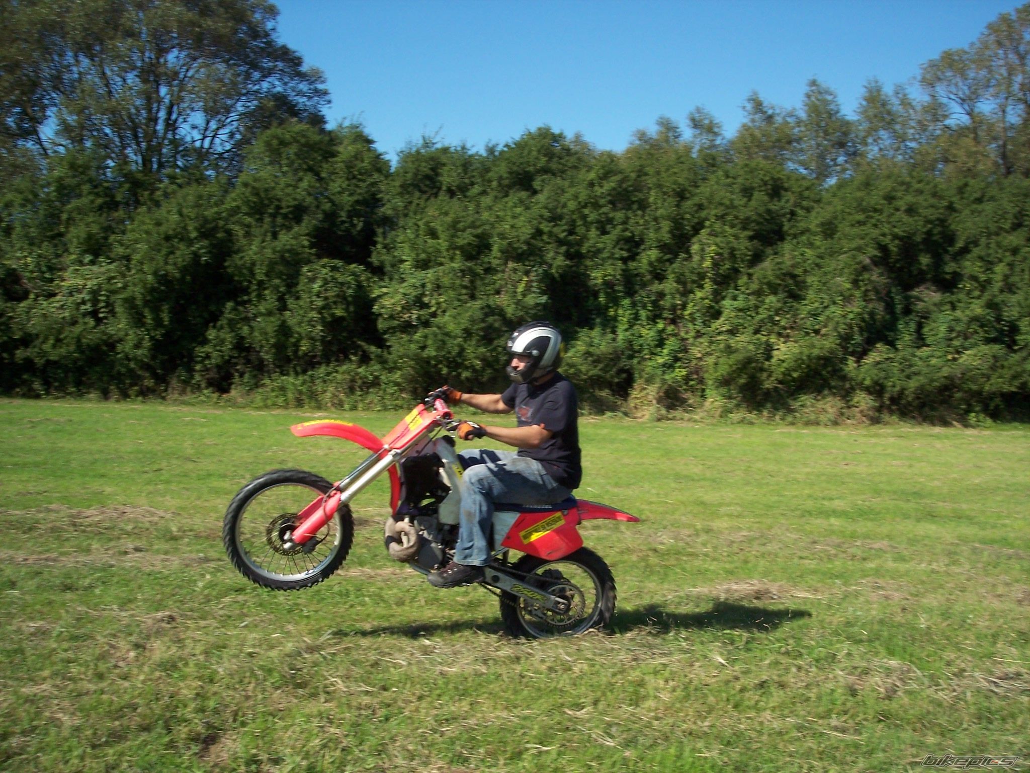 1995 HONDA CR 250 | Picture 1402953 motorcycle photo